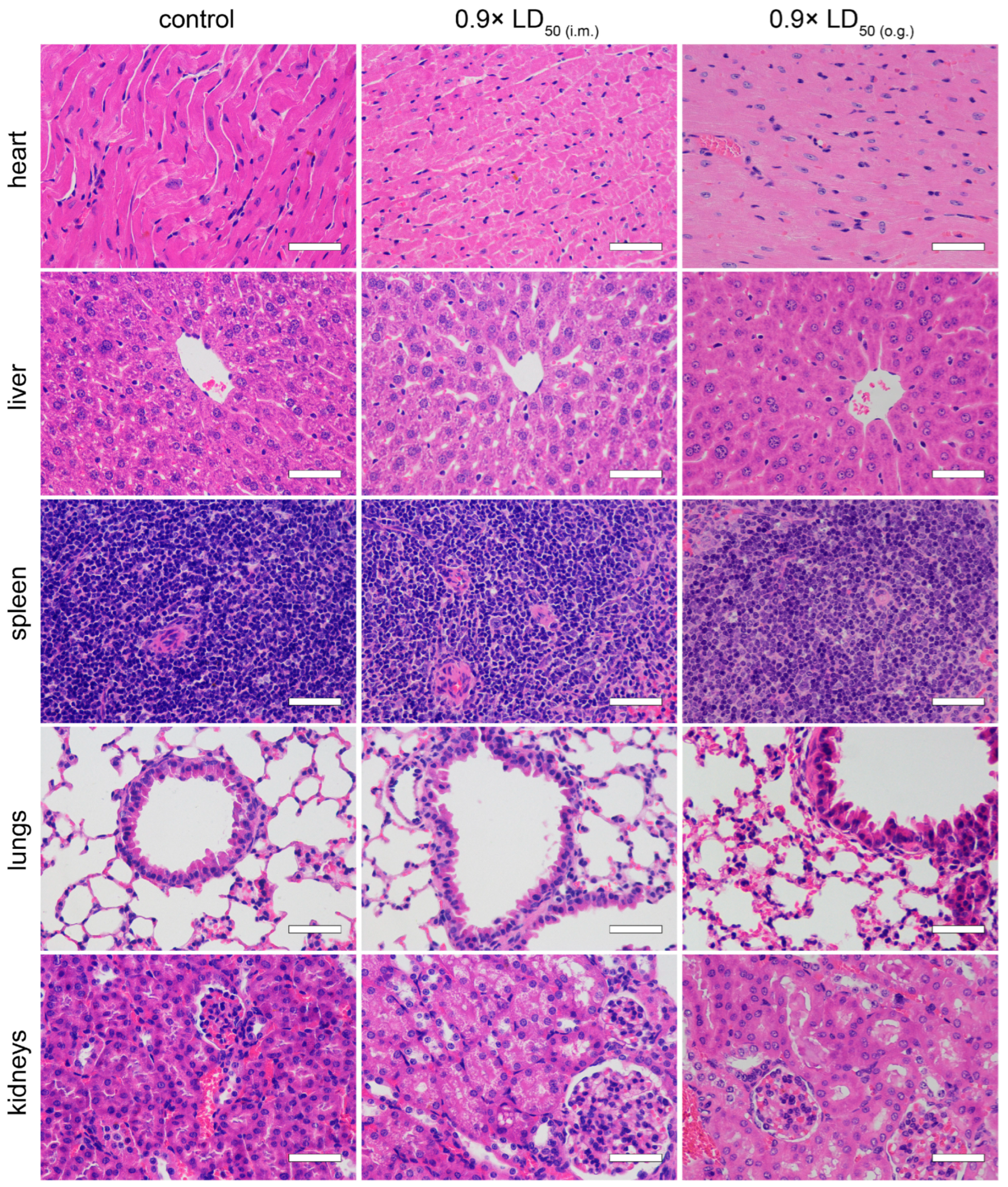 Toxins 15 00334 g006 Toxins 15 00334 g006