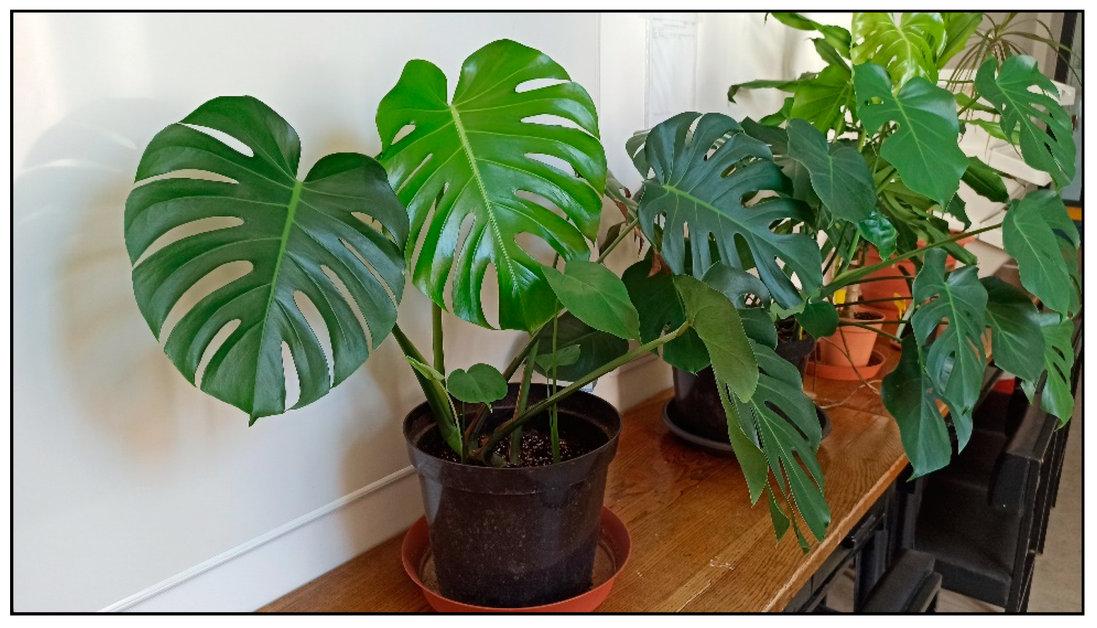 Toxins 15 00346 g002