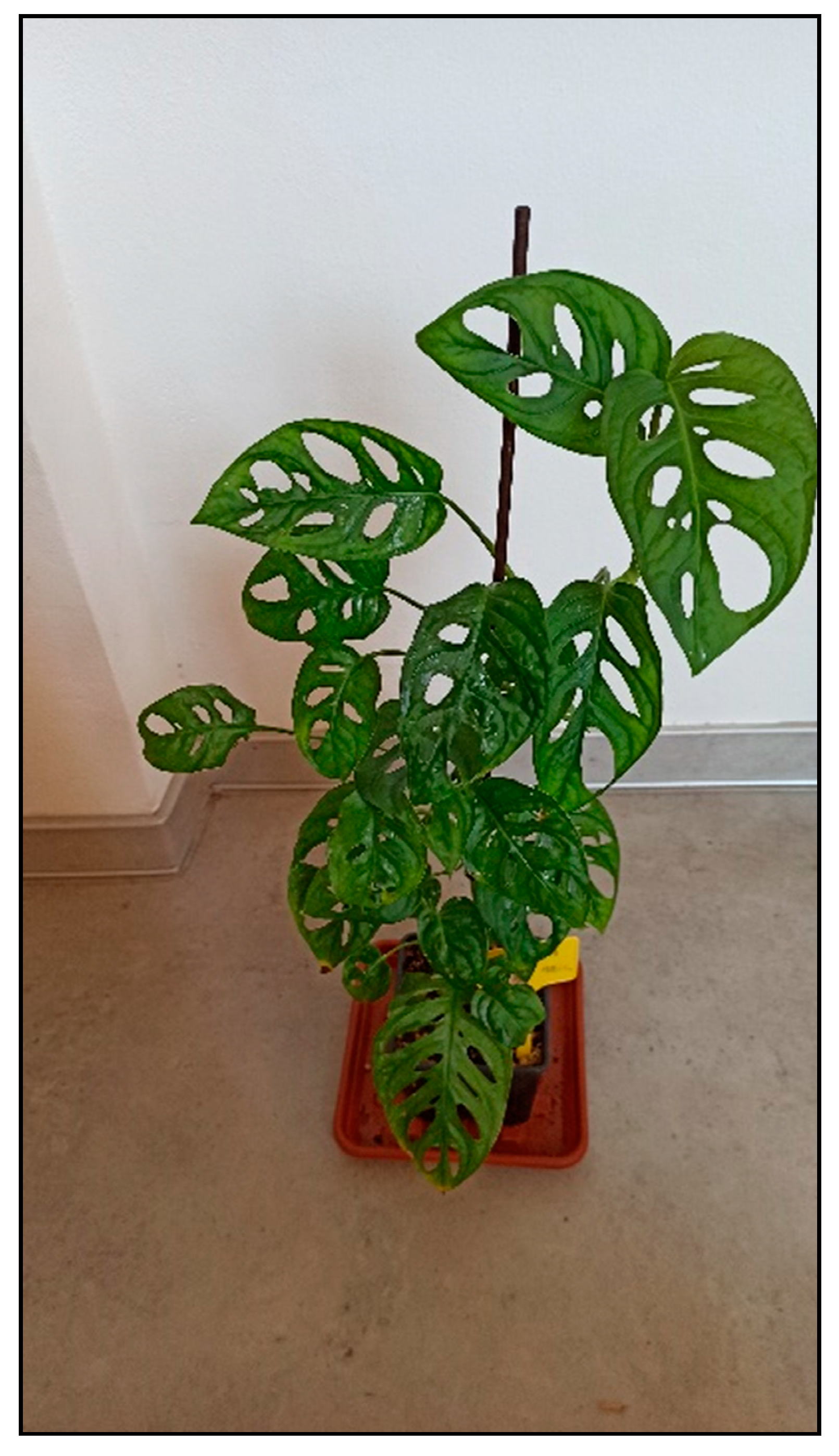 Toxins 15 00346 g003