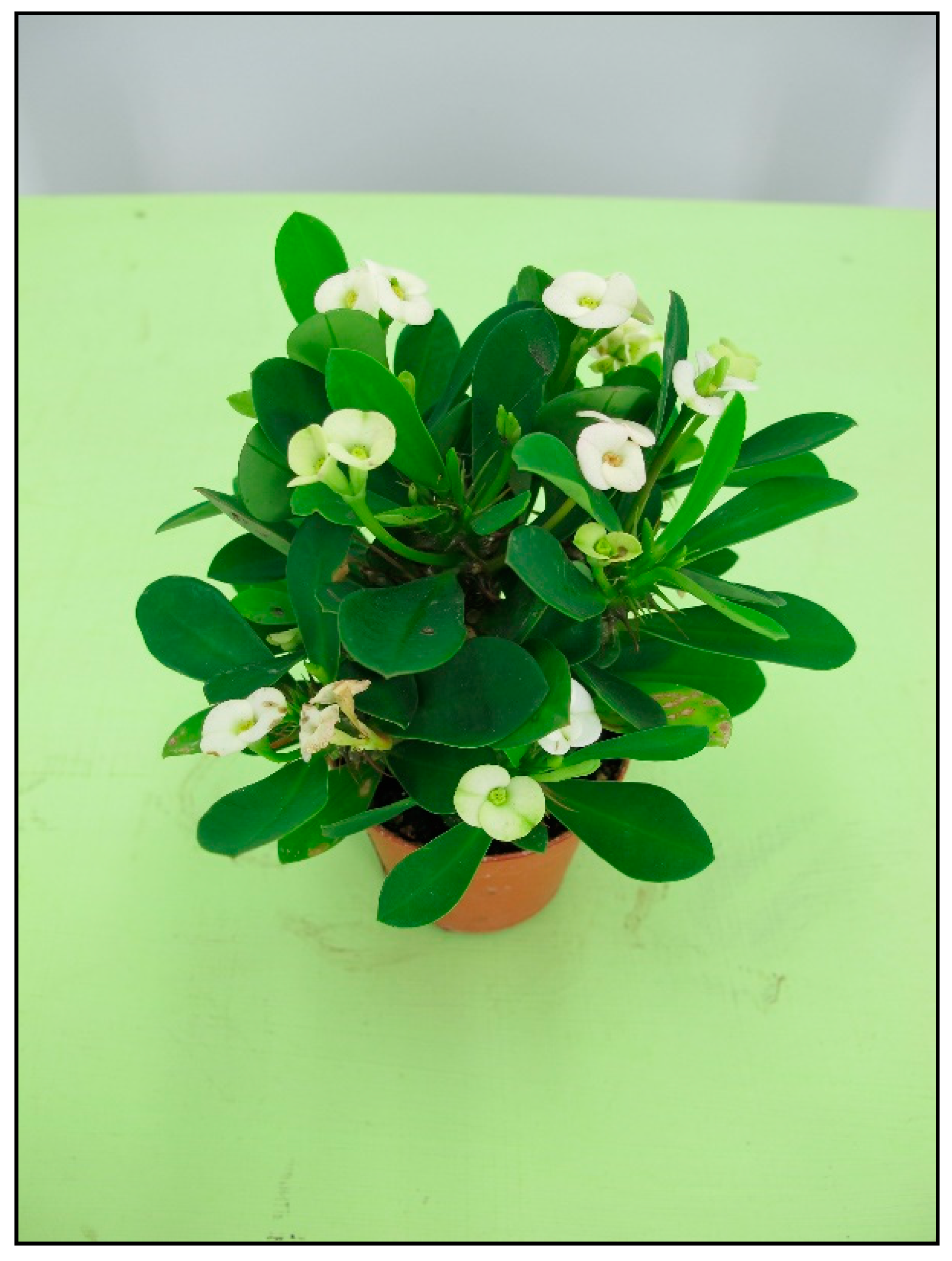 Toxins 15 00346 g012