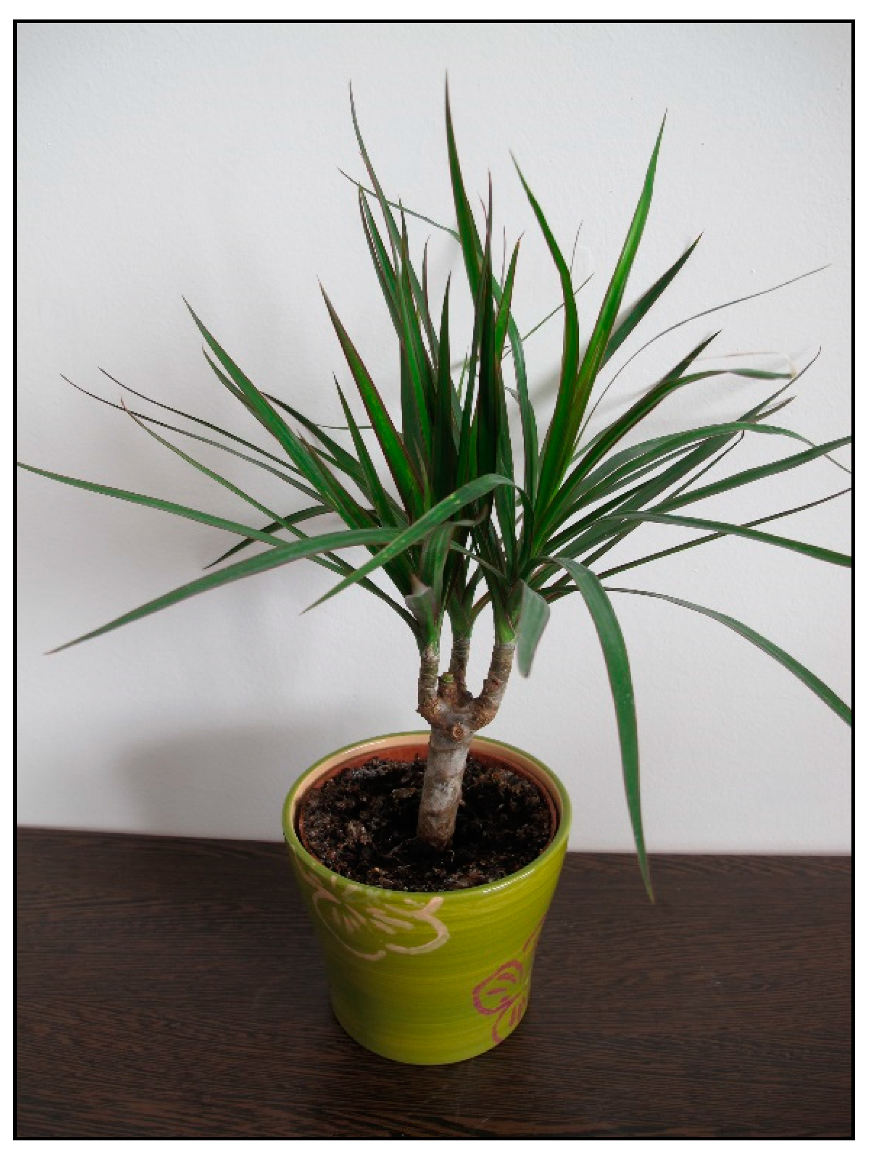 Toxins 15 00346 g016