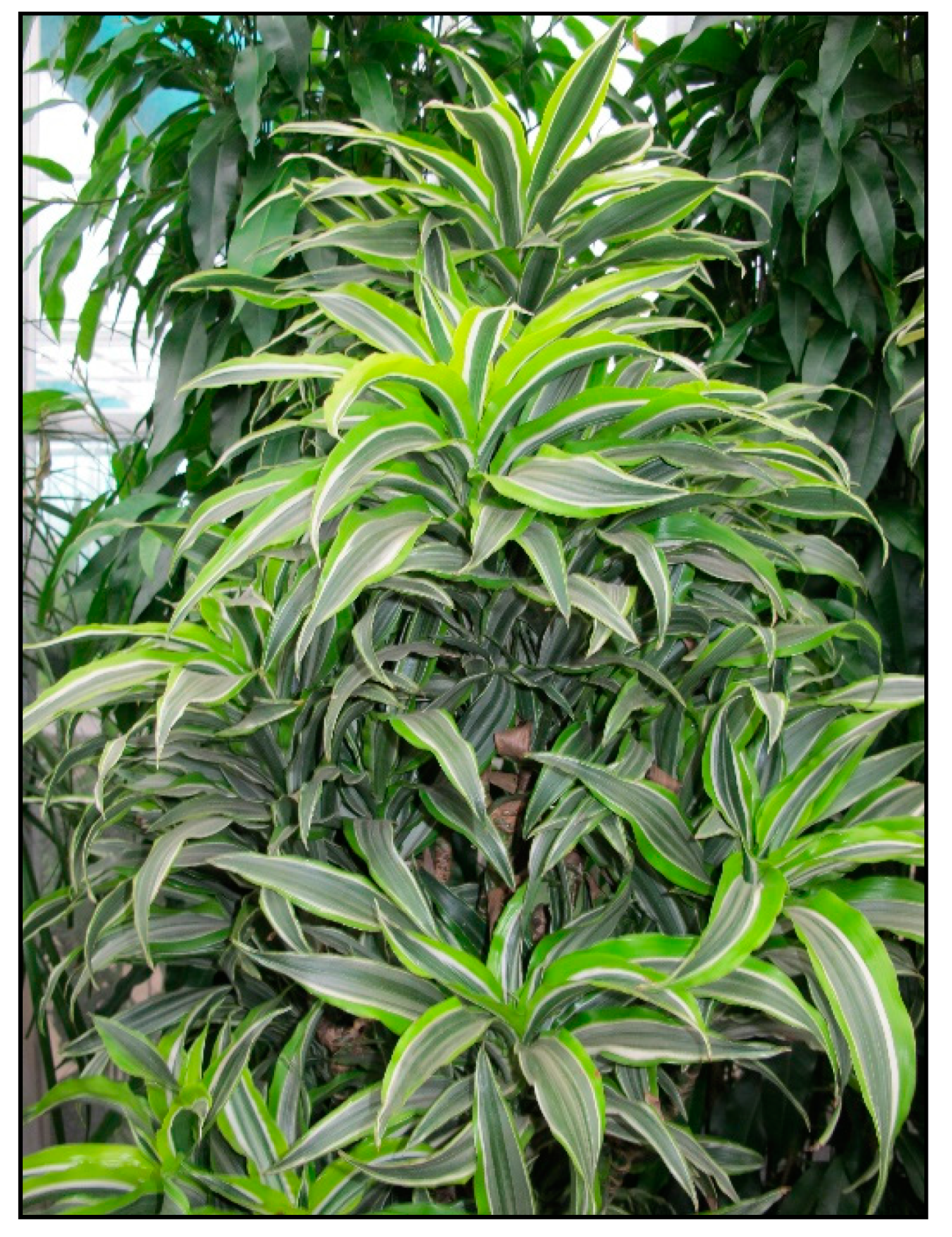 Toxins 15 00346 g017