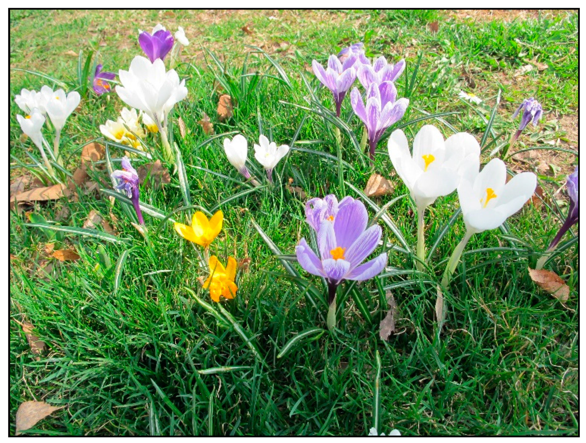 Toxins 15 00346 g021