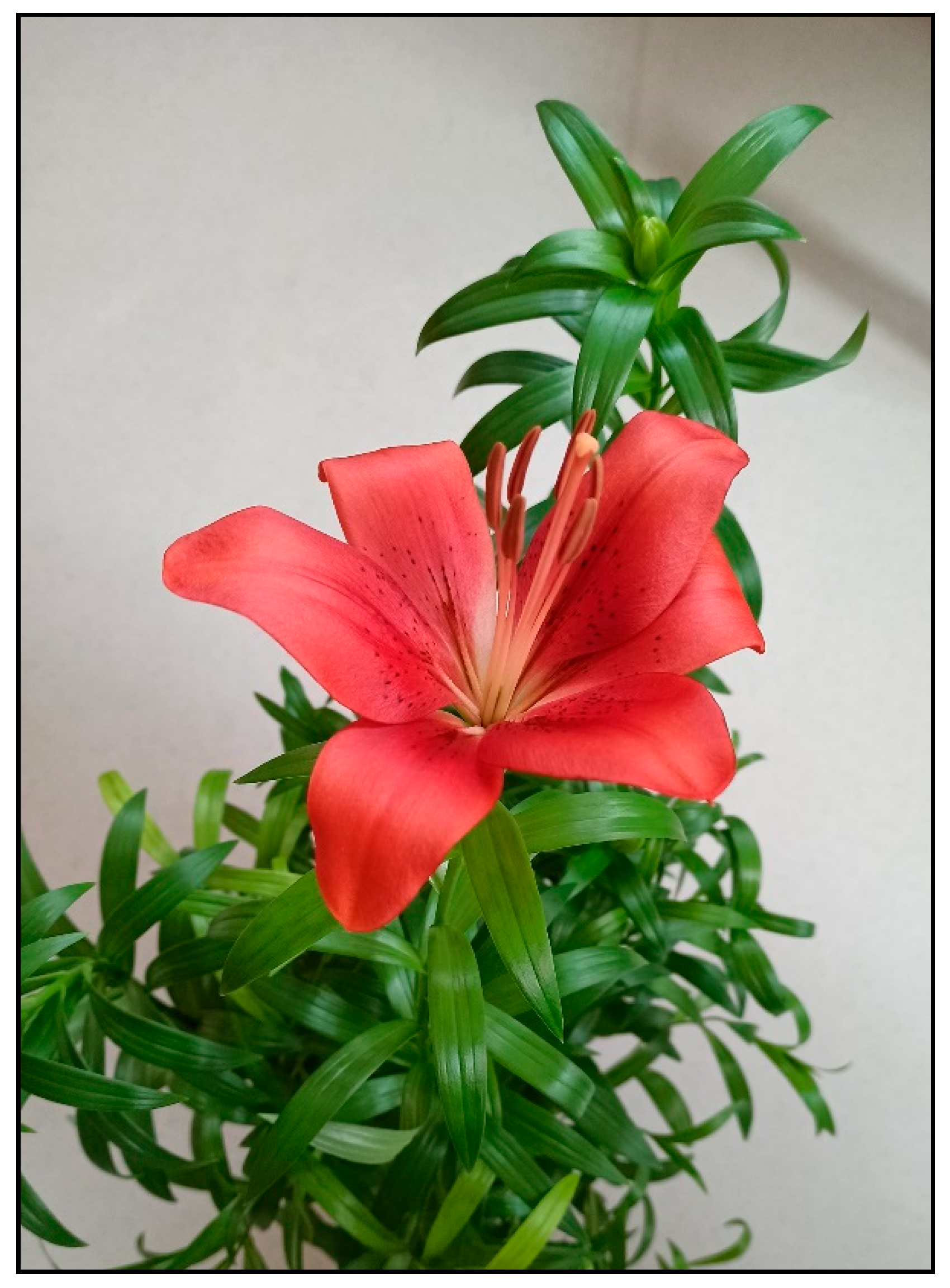 Toxins 15 00346 g025