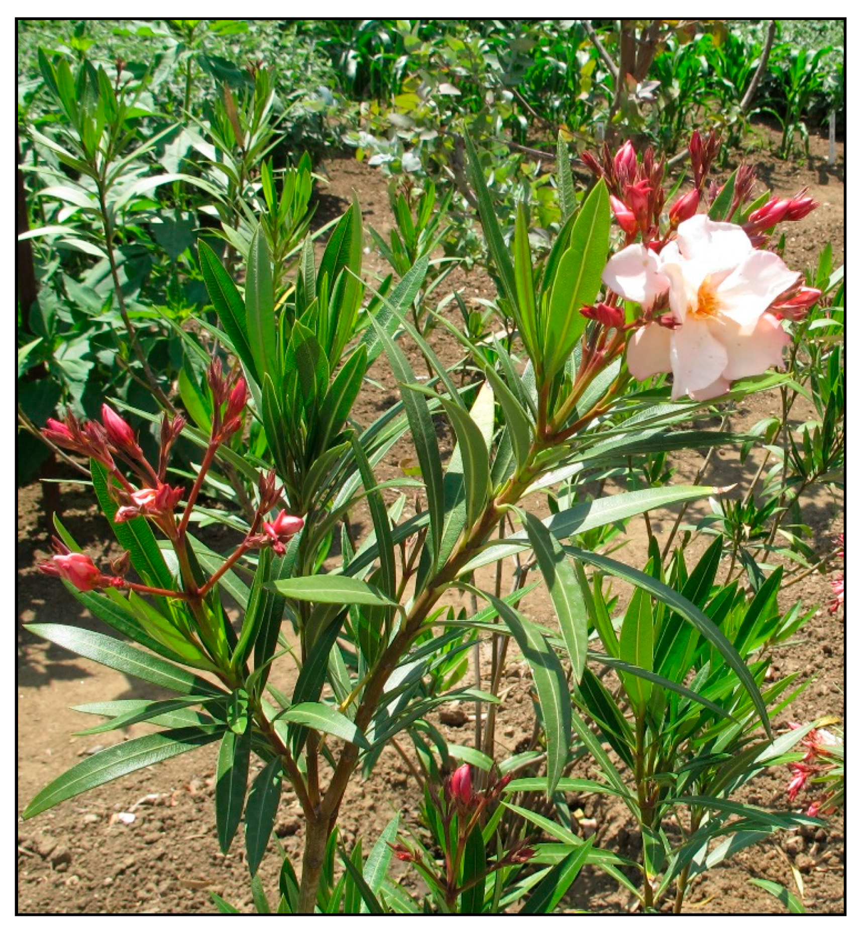 Toxins 15 00346 g028