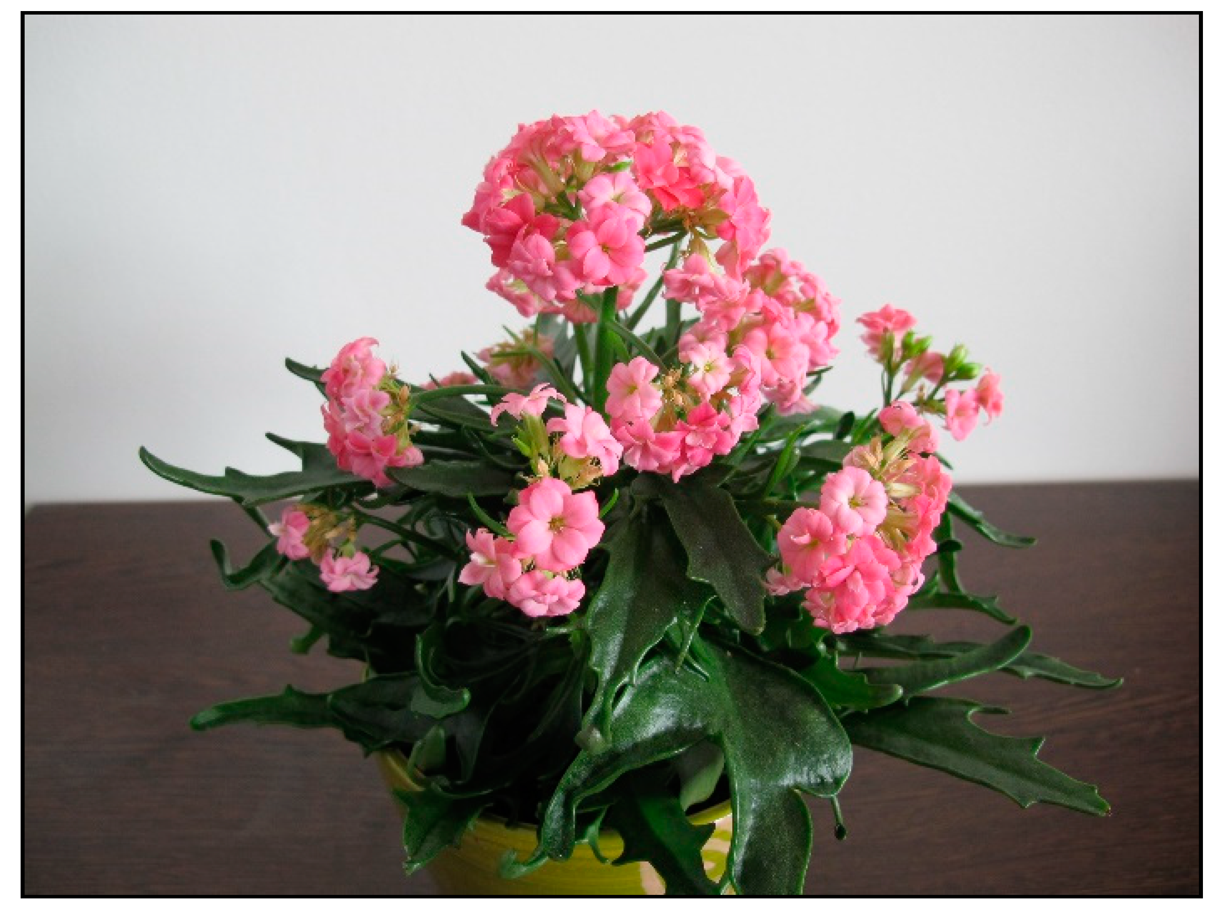 Toxins 15 00346 g029