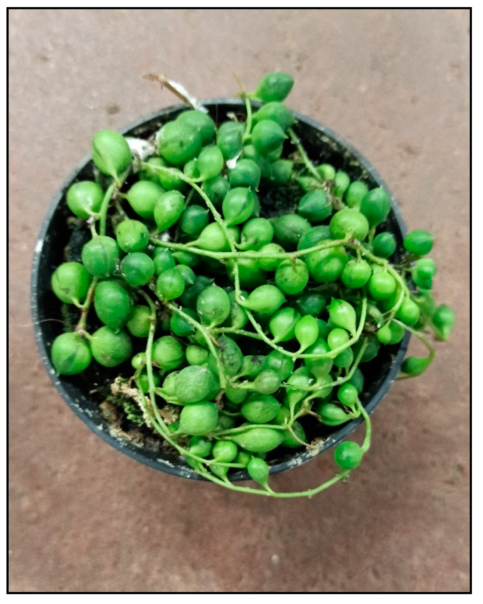 Toxins 15 00346 g031