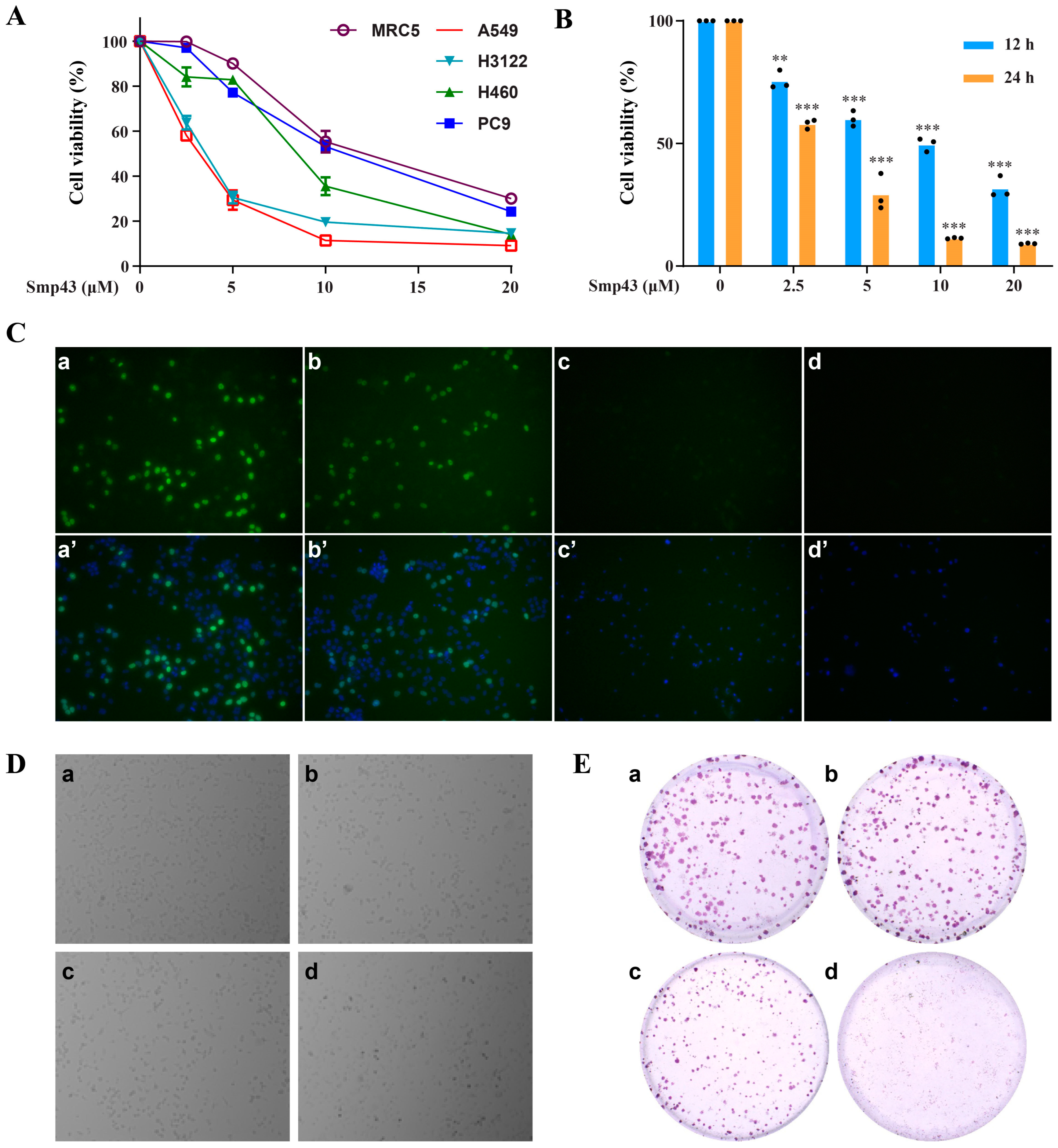 Toxins 15 00347 g001 Toxins 15 00347 g001