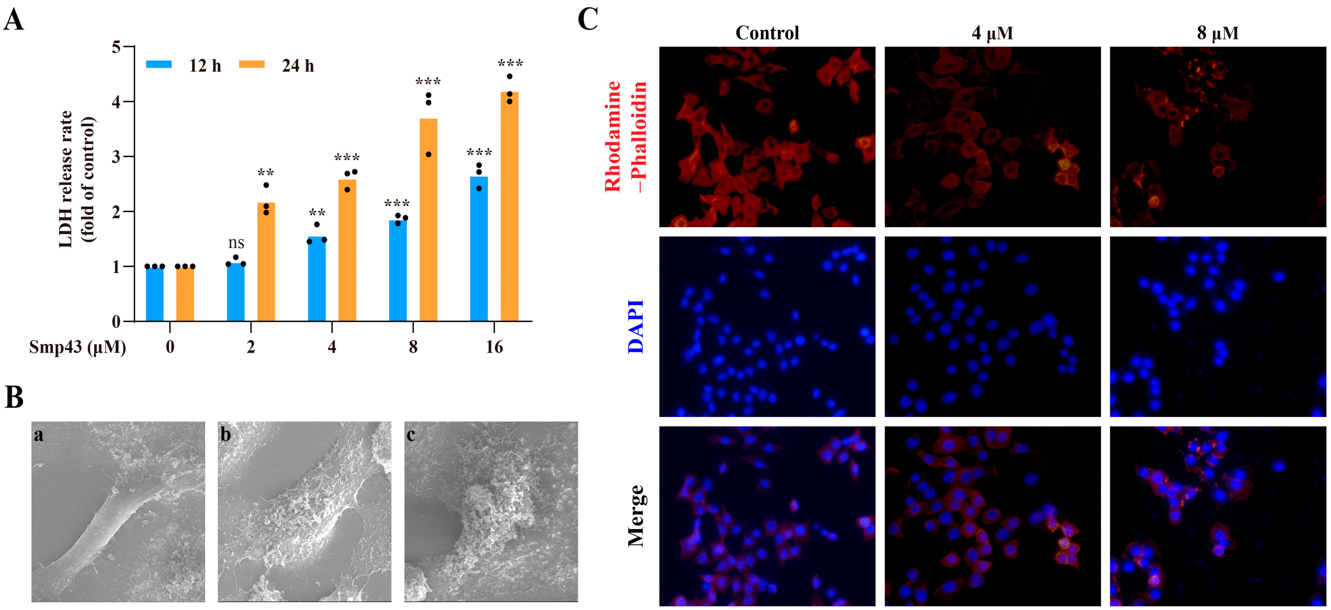 Toxins 15 00347 g003 Toxins 15 00347 g003