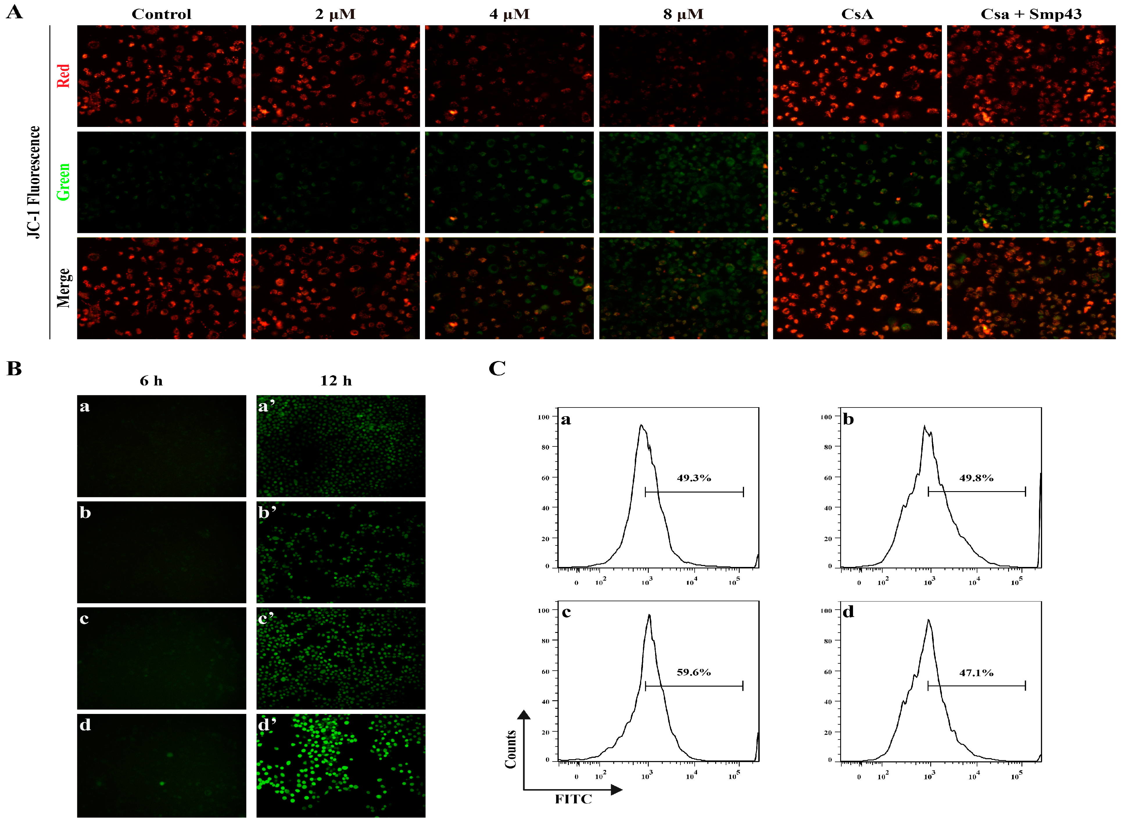 Toxins 15 00347 g004 Toxins 15 00347 g004