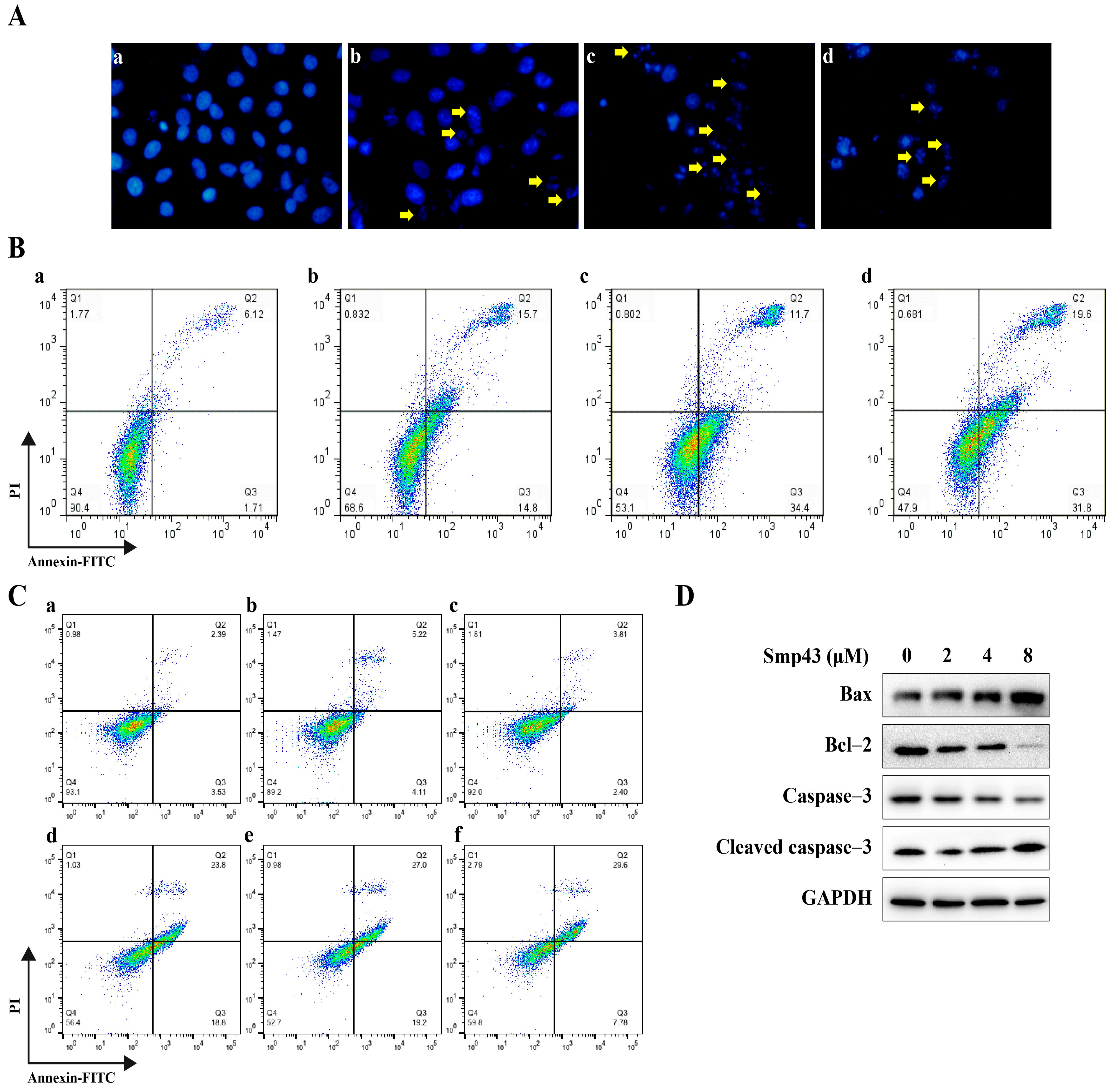 Toxins 15 00347 g005 Toxins 15 00347 g005