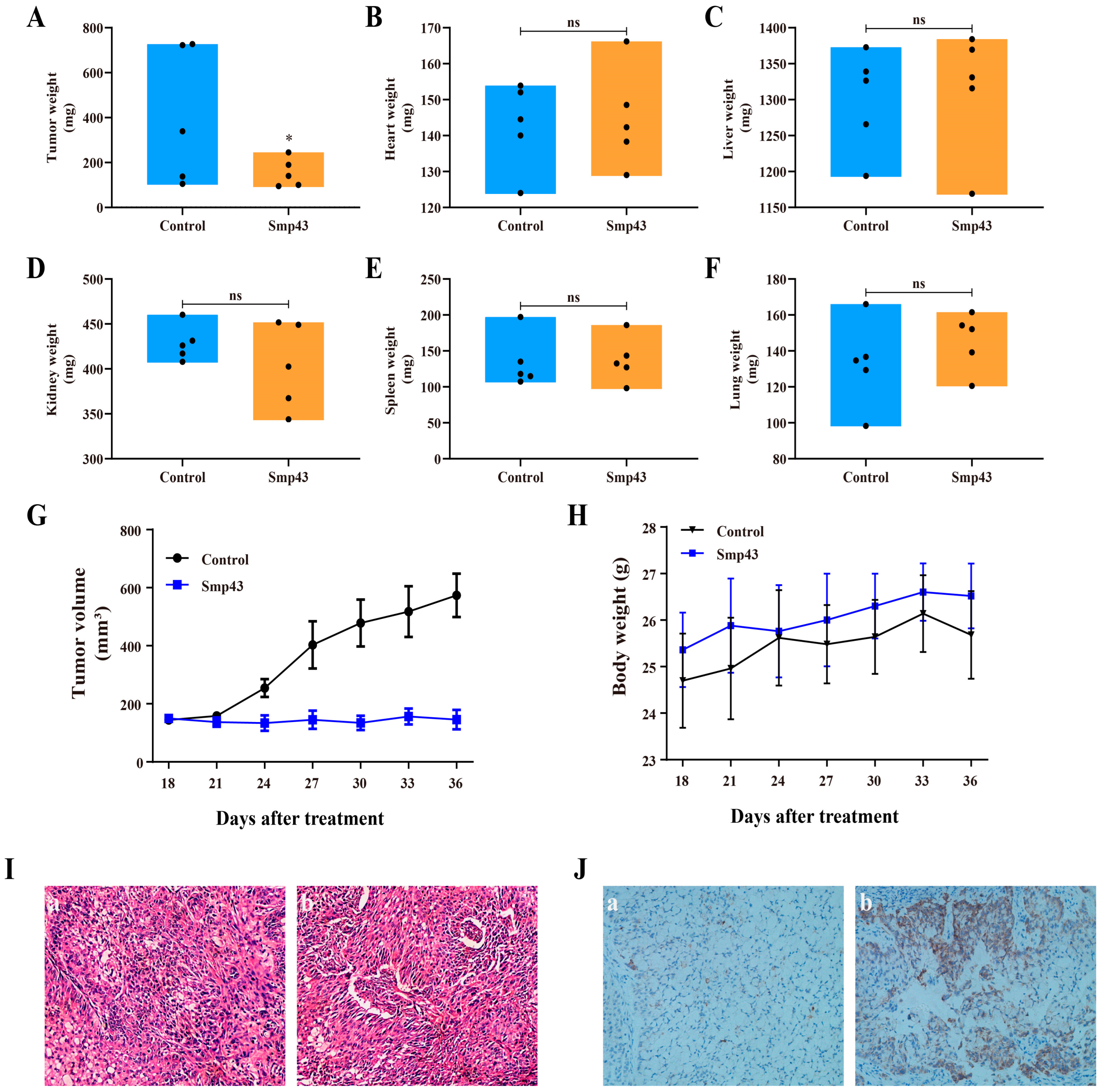 Toxins 15 00347 g008 Toxins 15 00347 g008