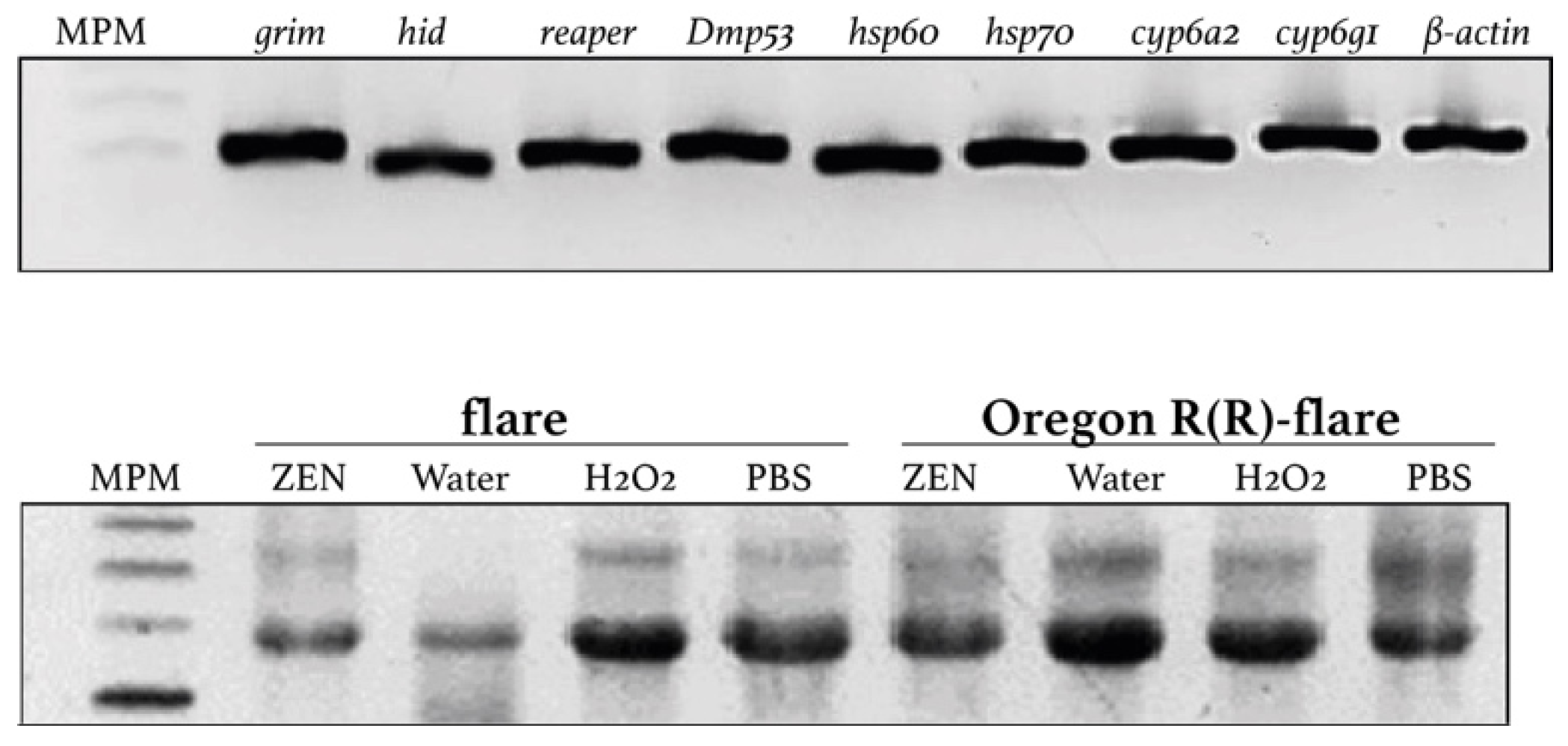Toxins 15 00358 g005