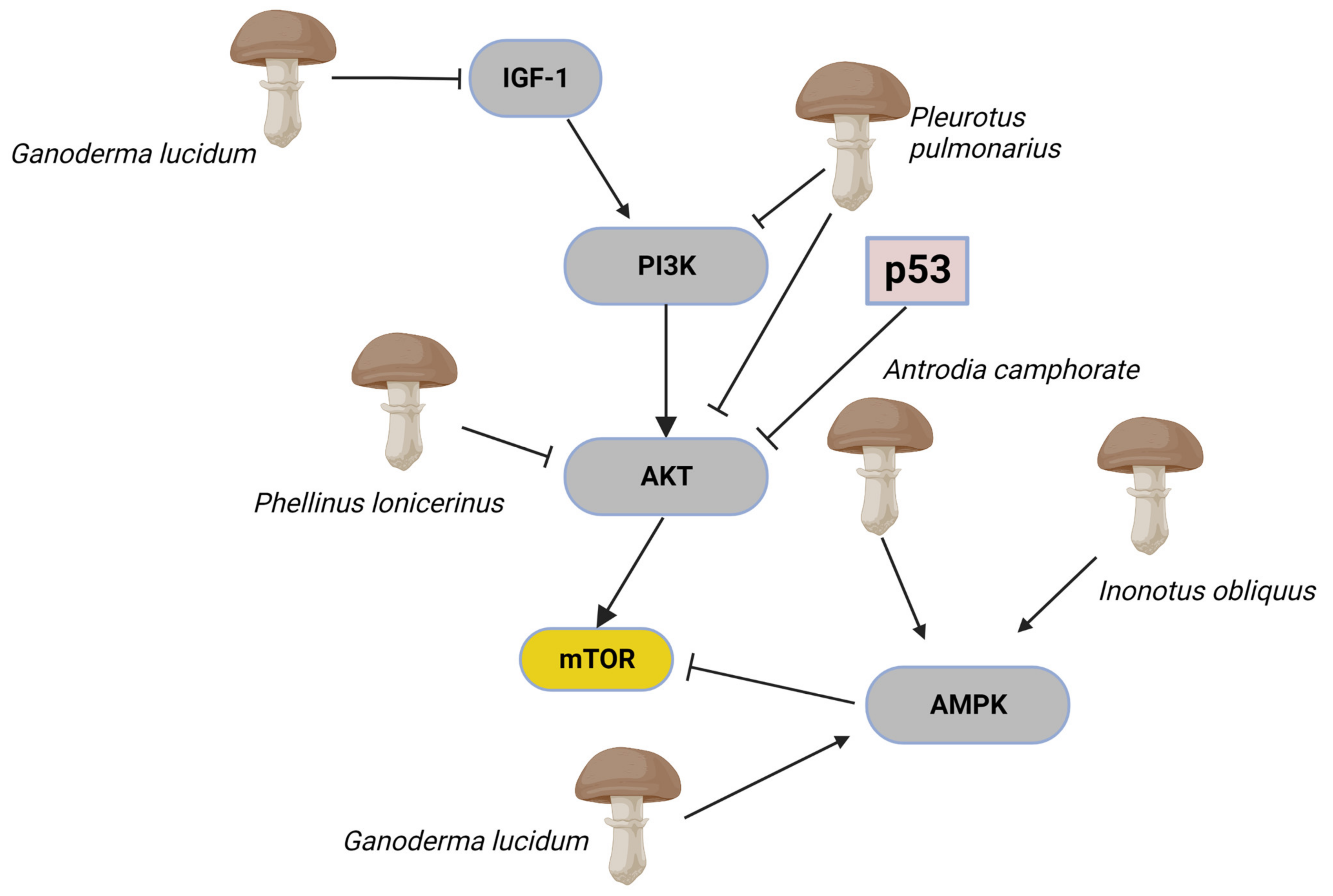 Toxins 15 00360 g004