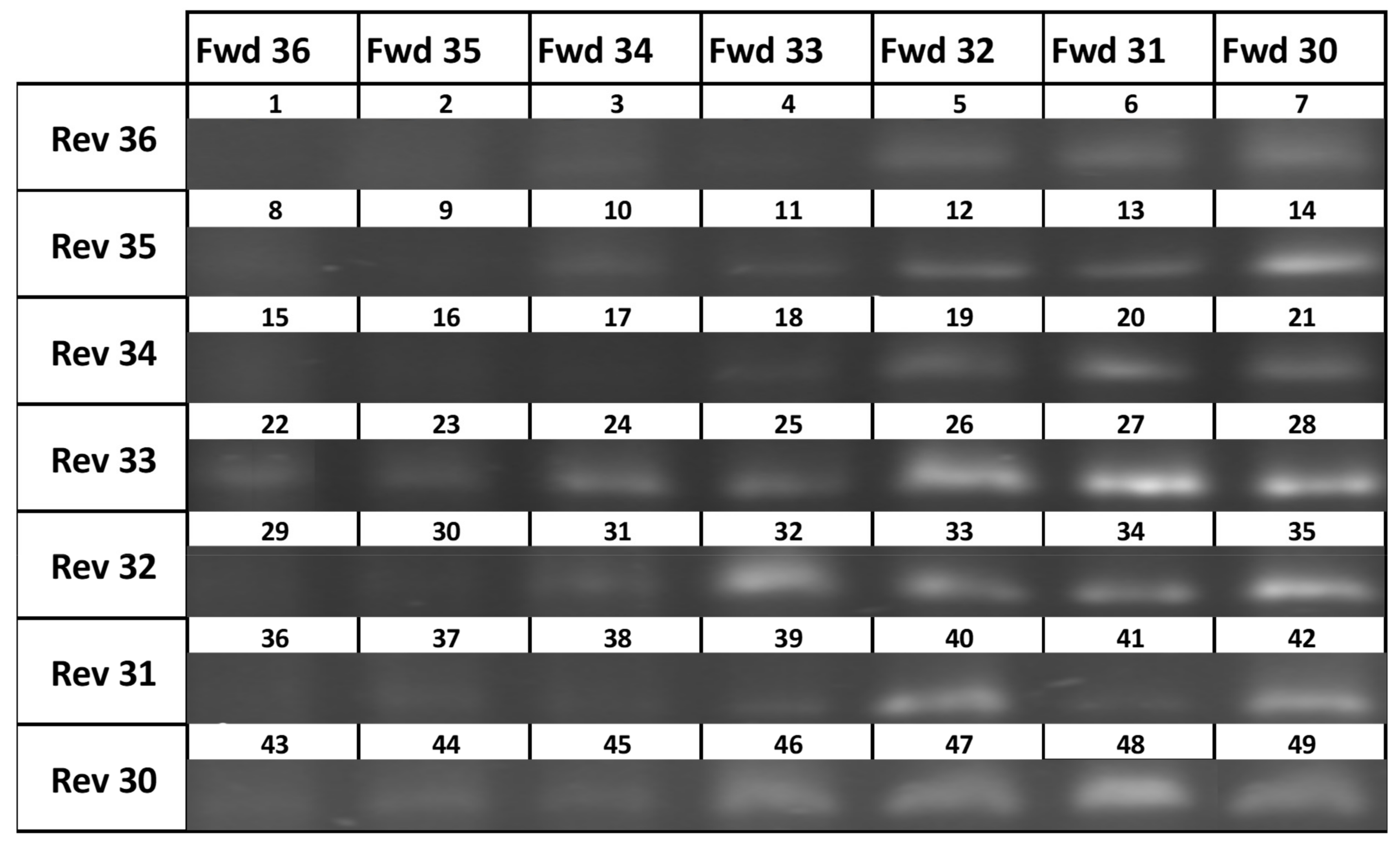 Toxins 15 00372 g002 Toxins 15 00372 g002