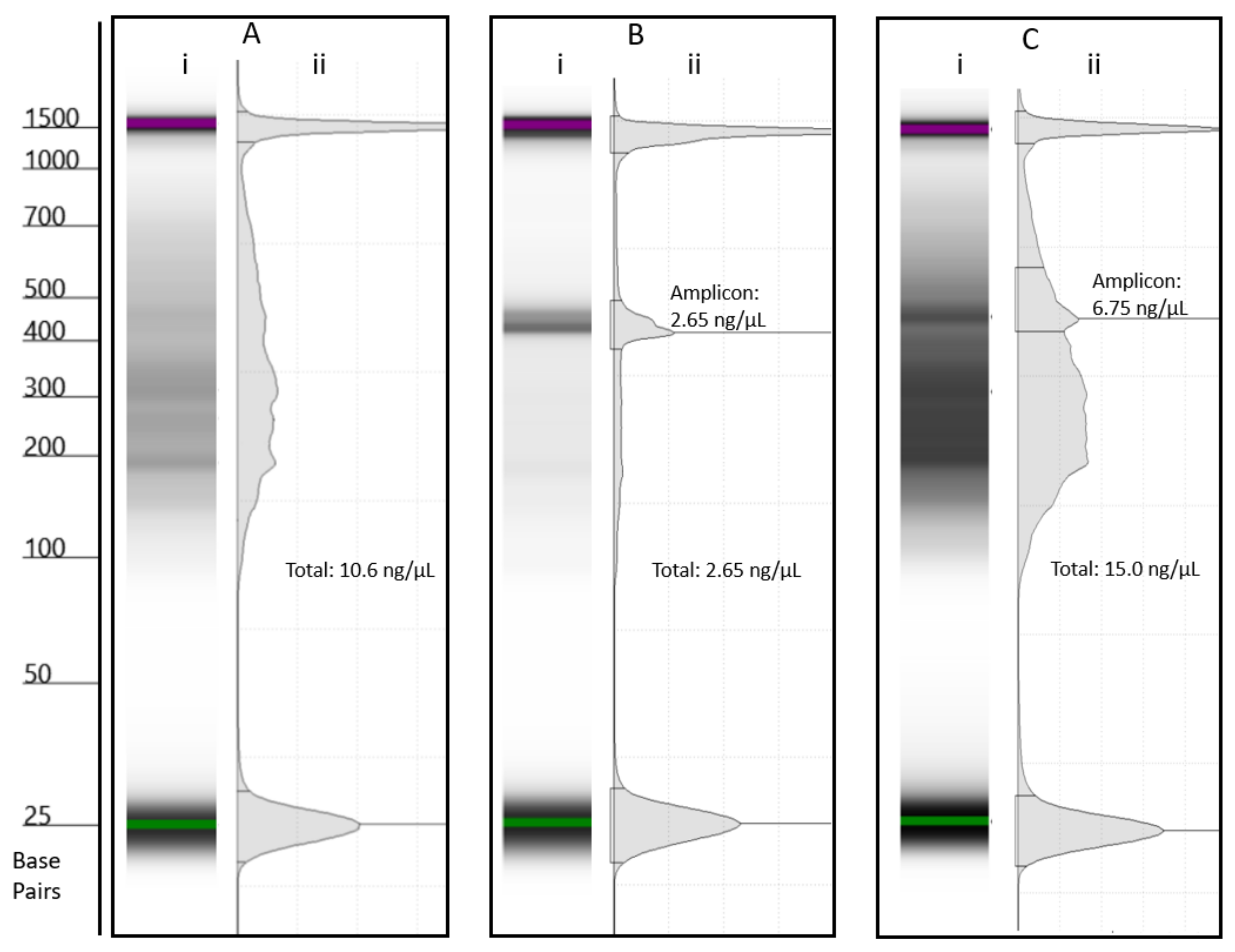 Toxins 15 00372 g003 Toxins 15 00372 g003