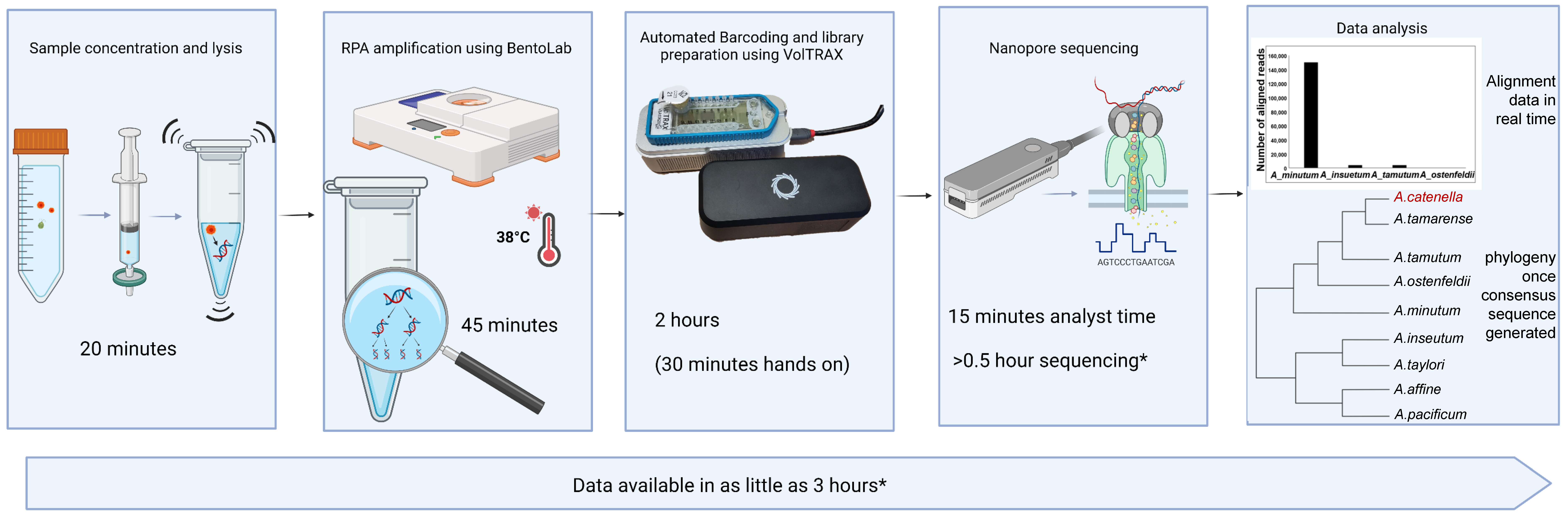 Toxins 15 00372 g006 Toxins 15 00372 g006