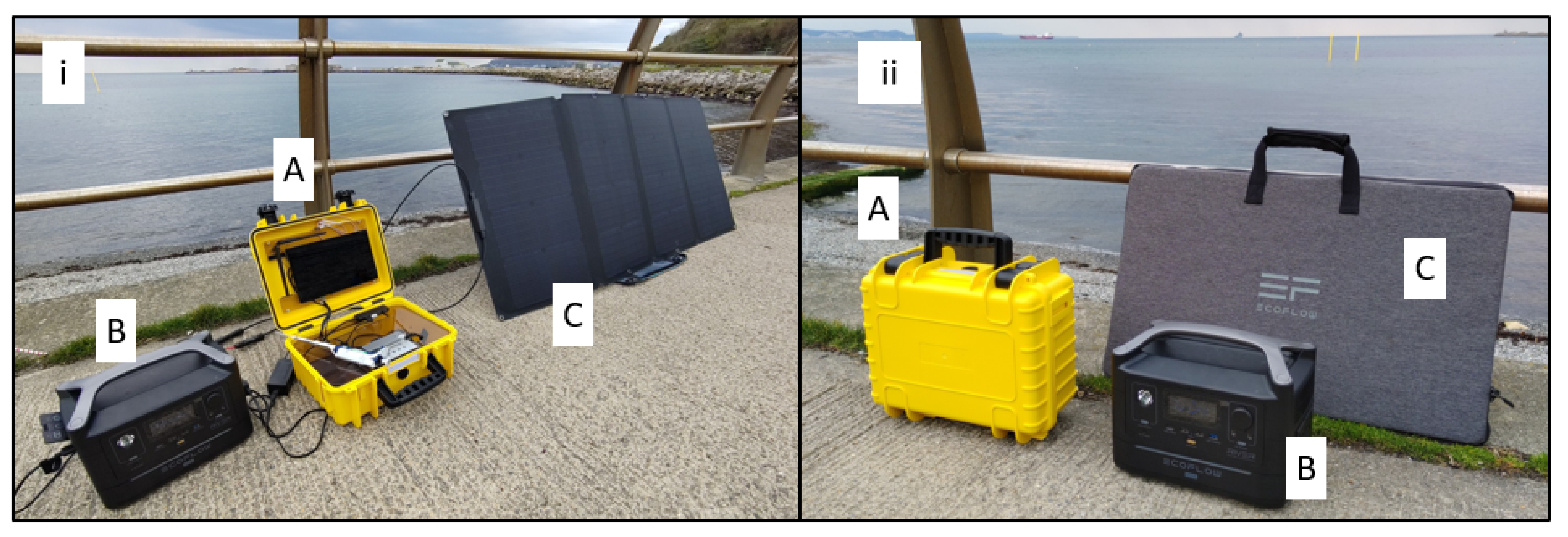Toxins 15 00372 g009 Toxins 15 00372 g009