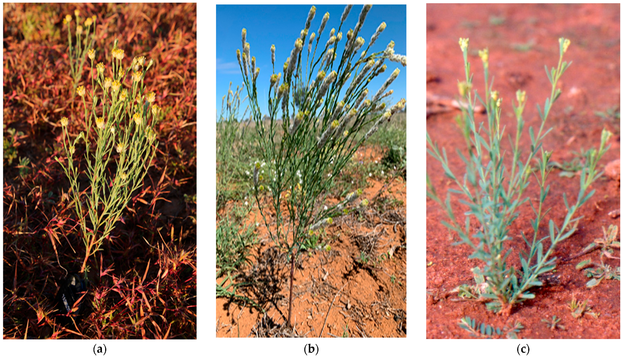 Toxins 15 00374 g002 Toxins 15 00374 g002