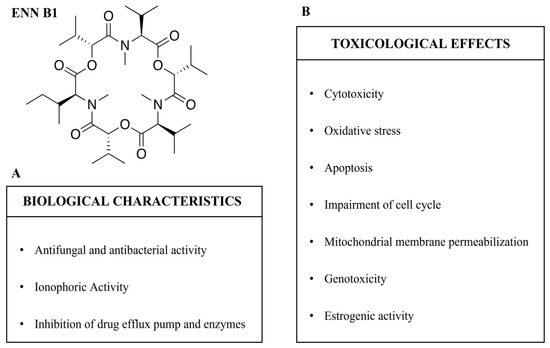 Toxins | Free Full-Text | Enniatin B1: Emerging Mycotoxin and Emerging ...