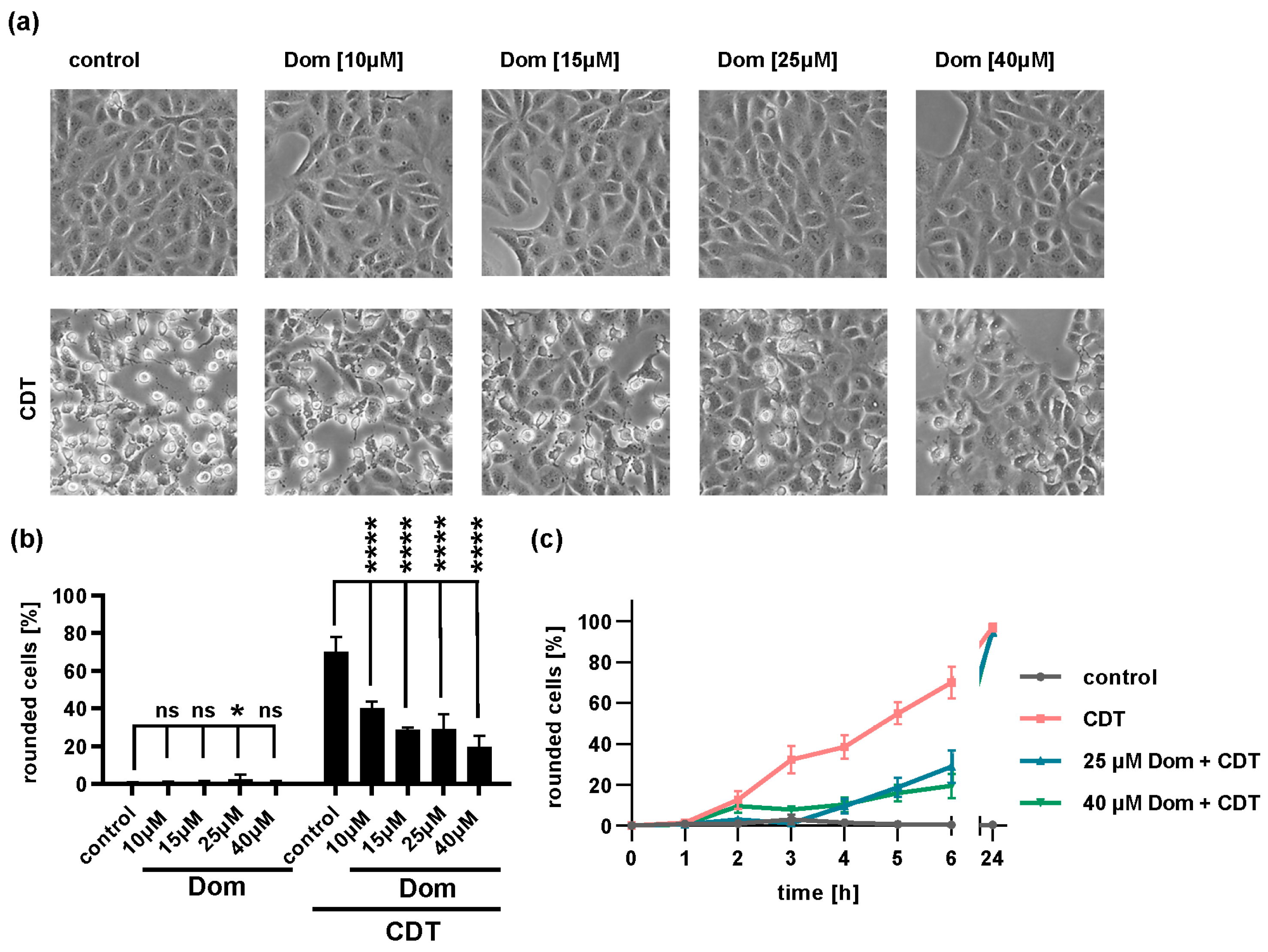 Toxins 15 00384 g007