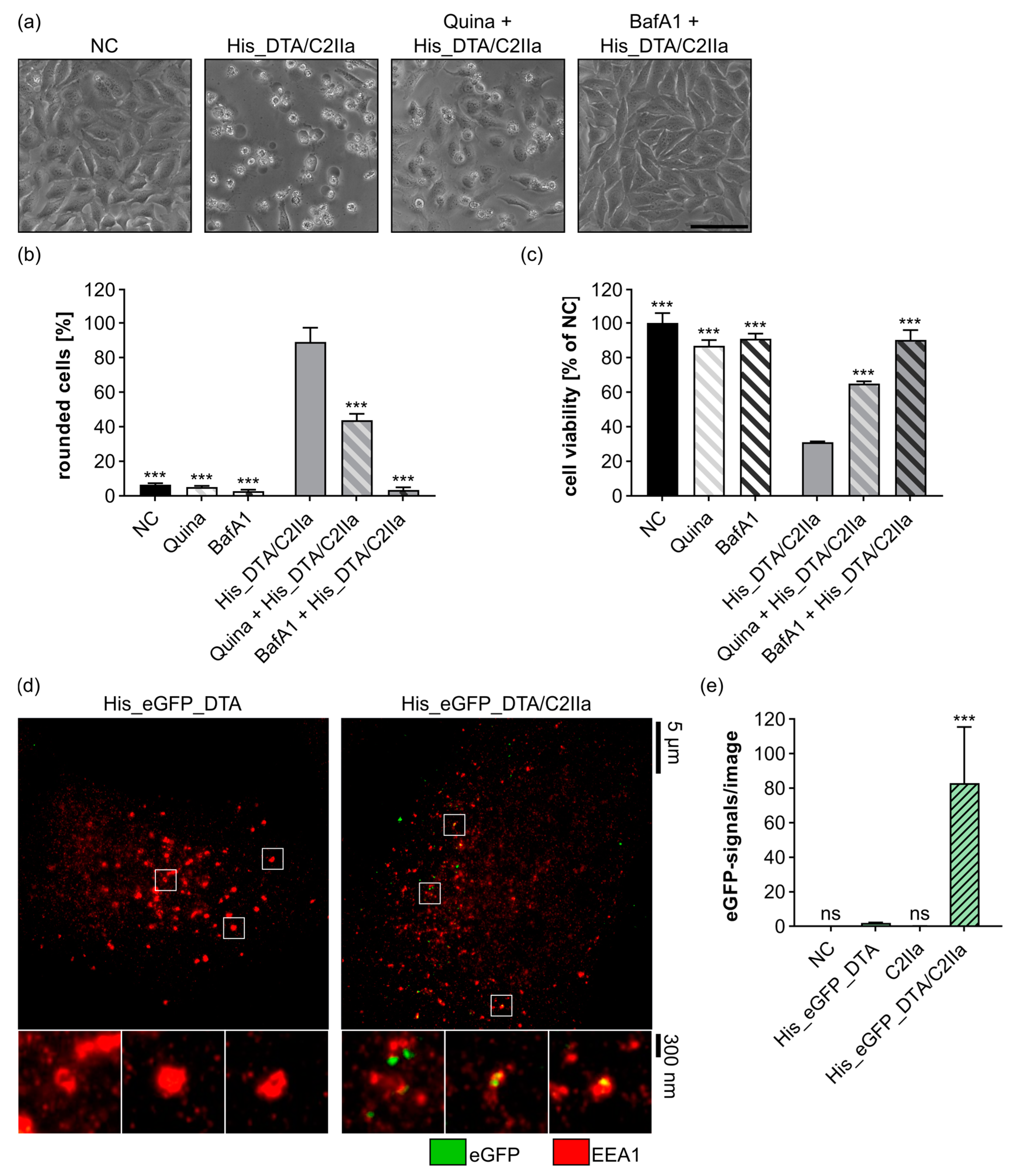Toxins 15 00390 g002