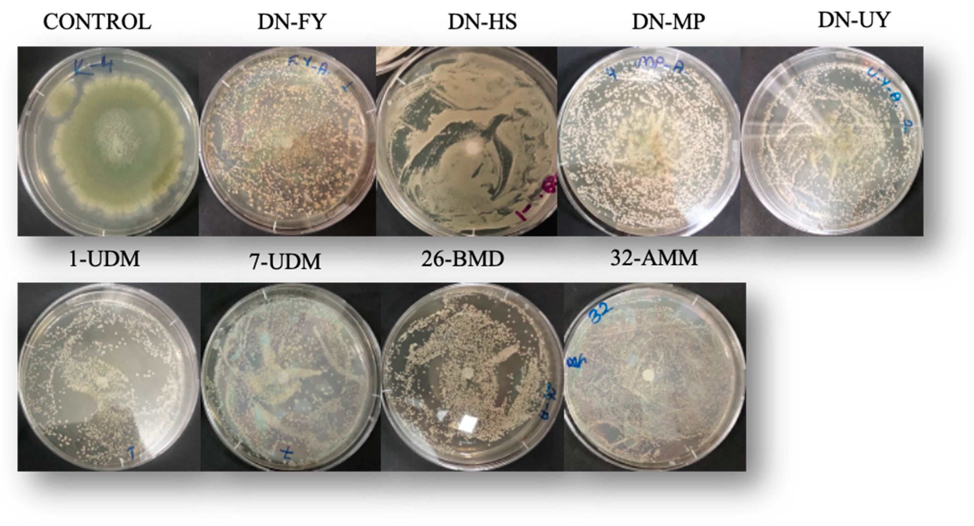Toxins 15 00402 g004