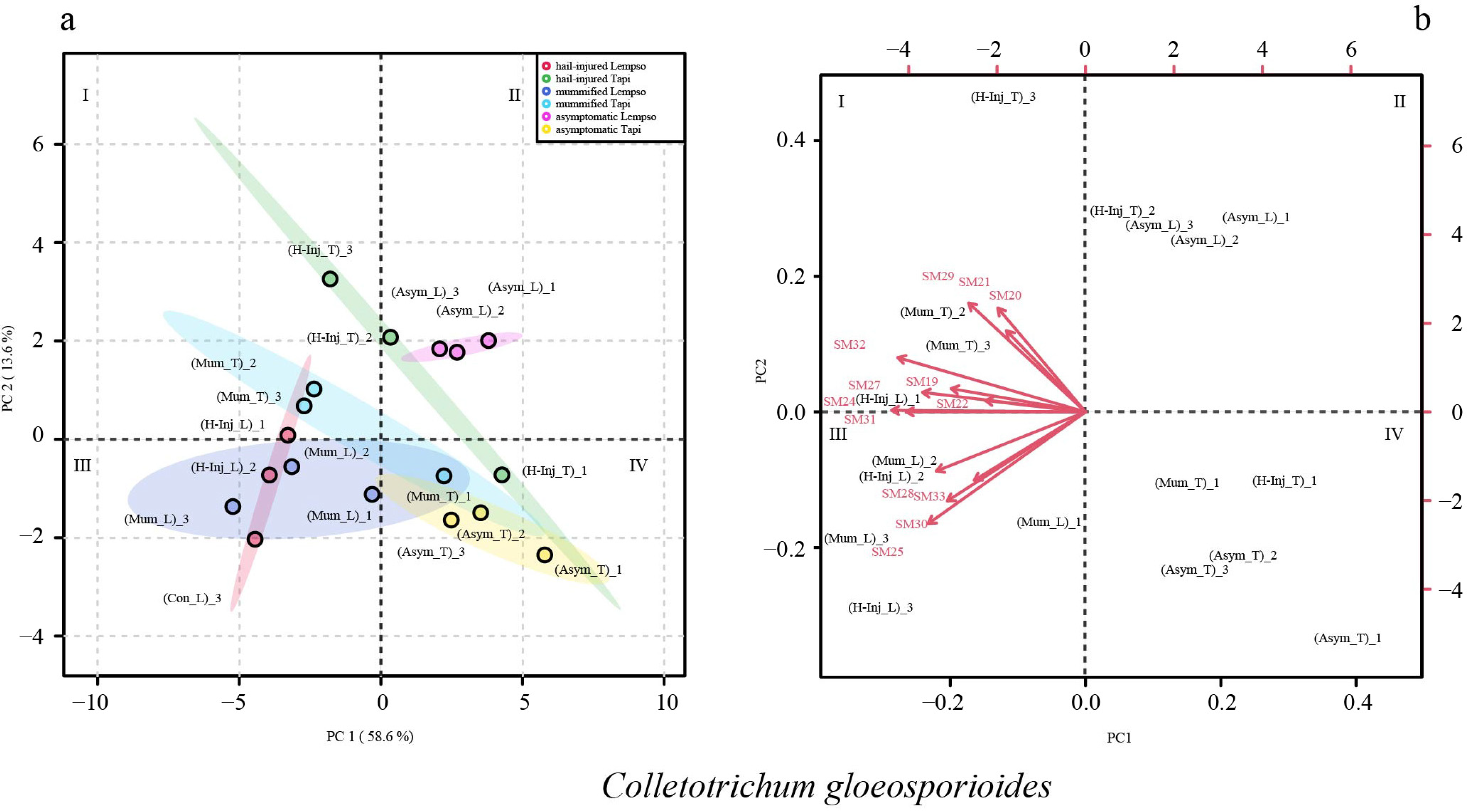 Toxins 15 00407 g005 Toxins 15 00407 g005