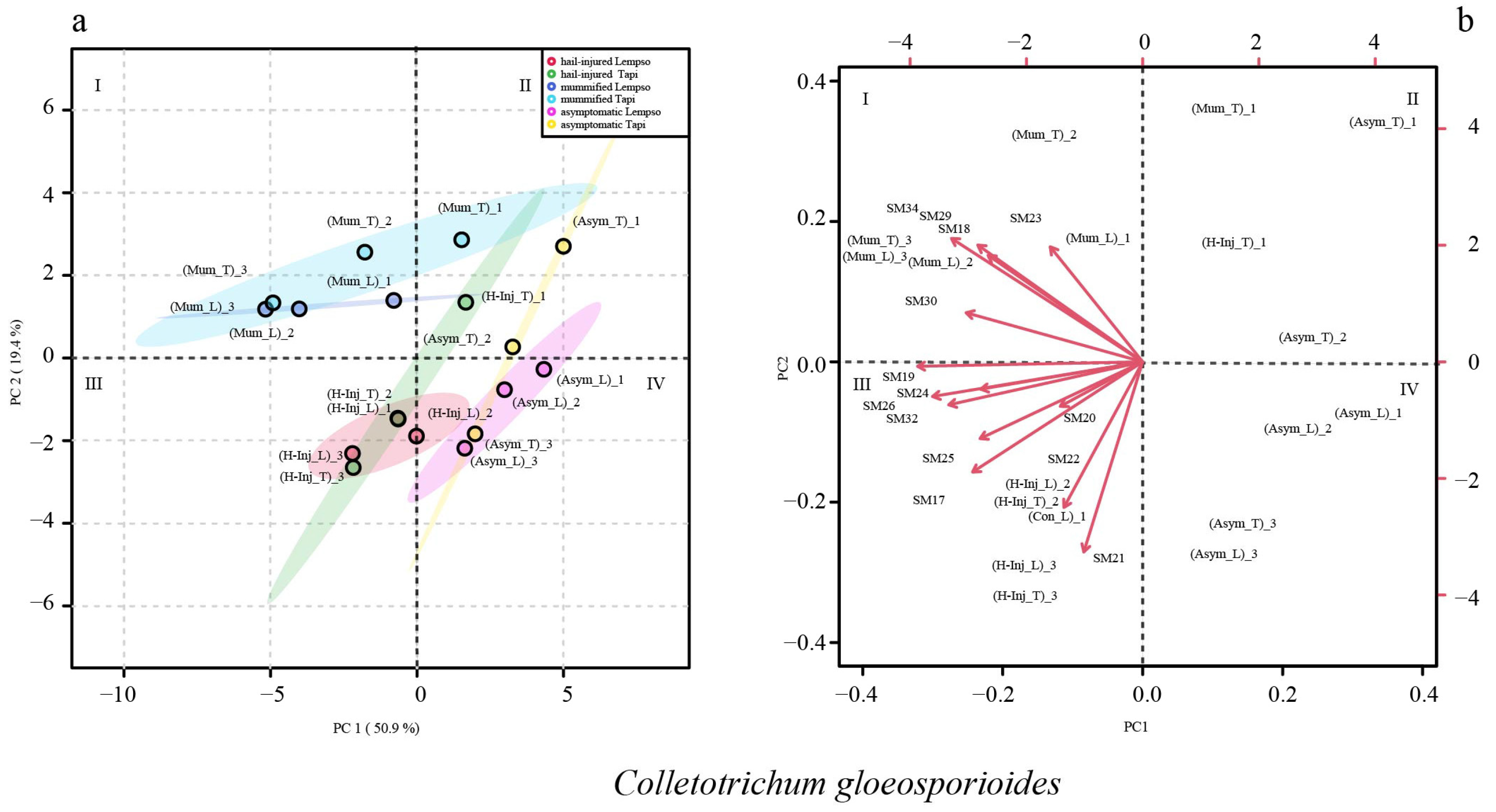 Toxins 15 00407 g008 Toxins 15 00407 g008