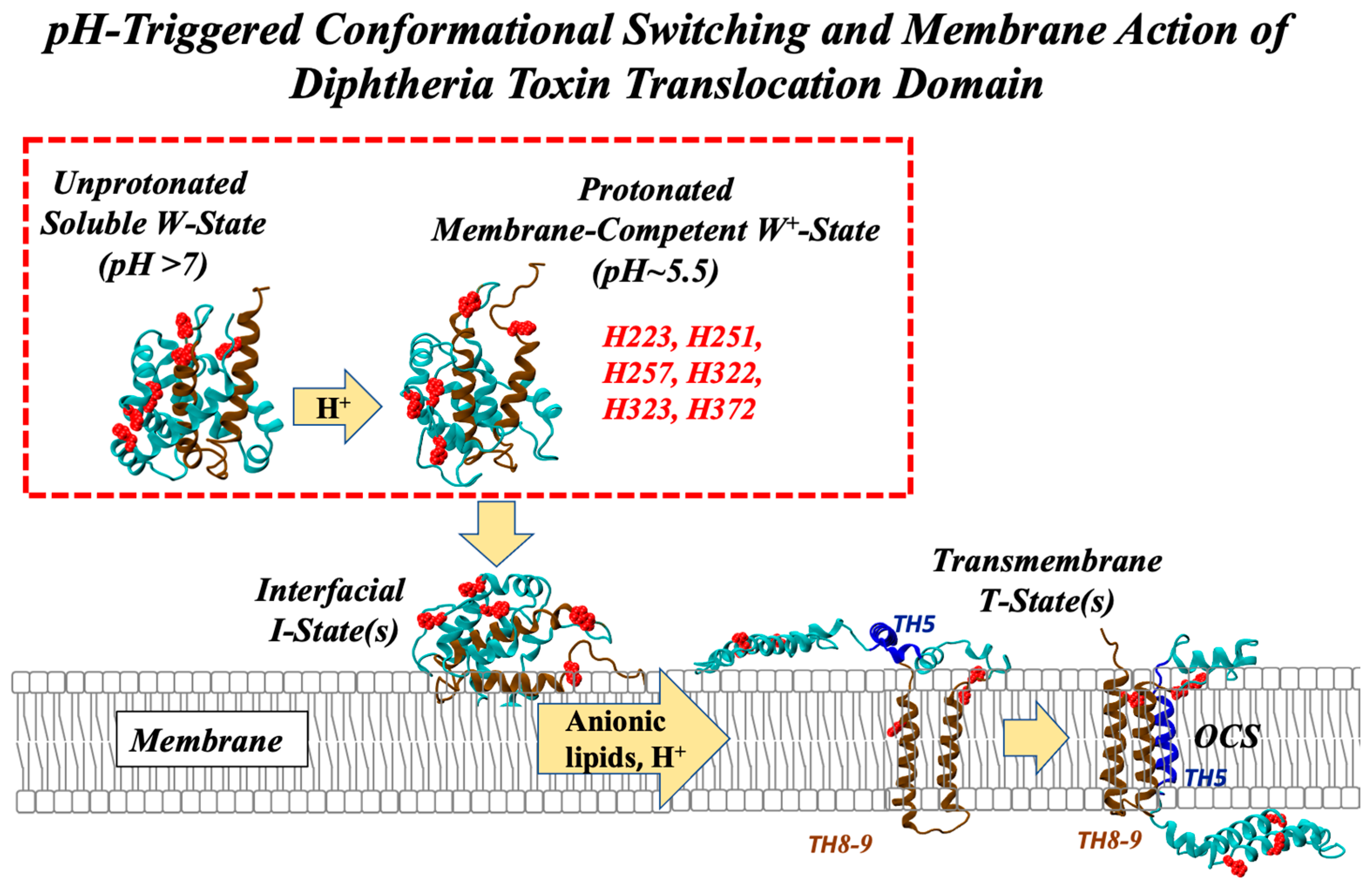 Toxins 15 00410 g001
