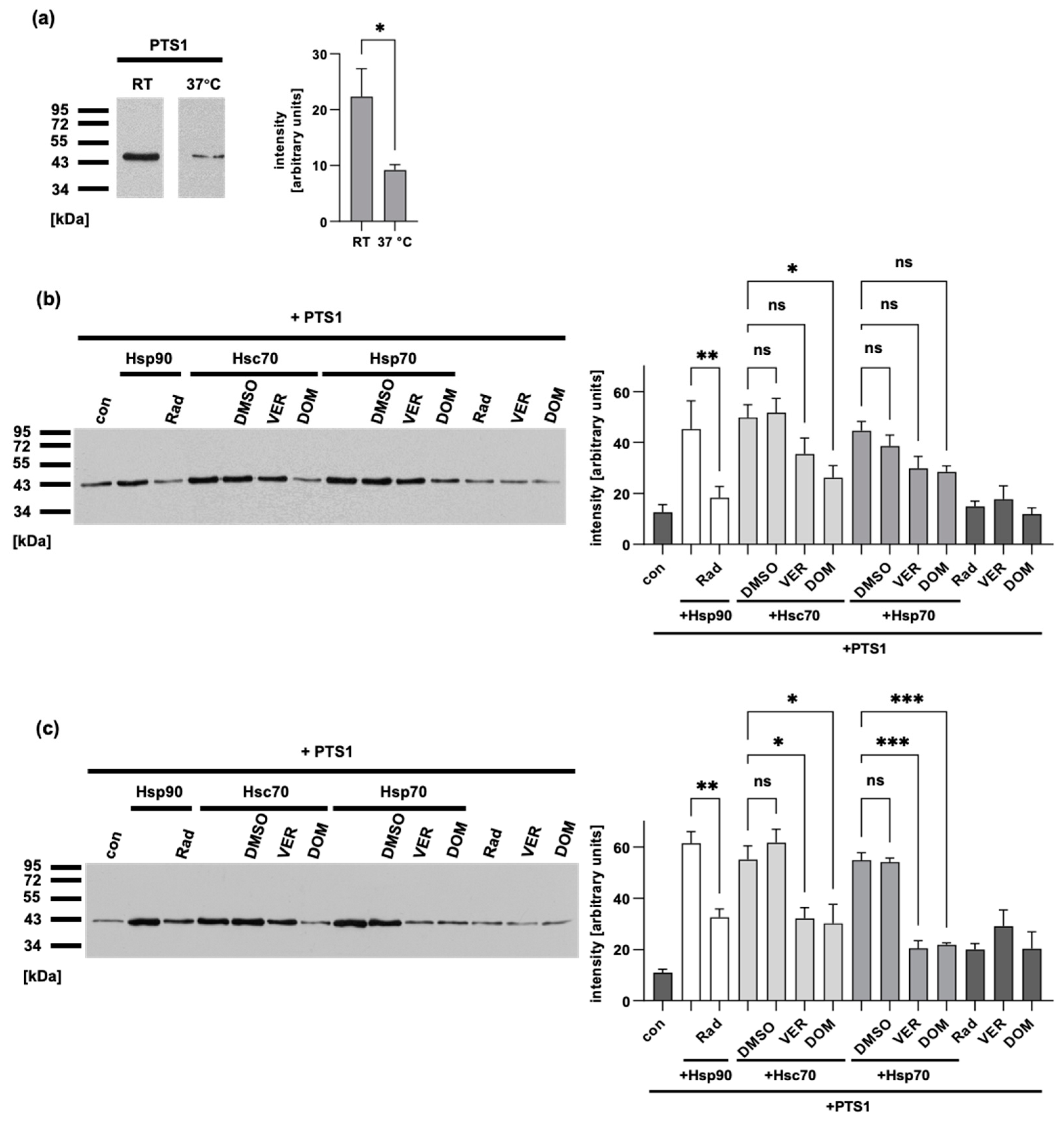 Toxins 15 00412 g007 Toxins 15 00412 g007