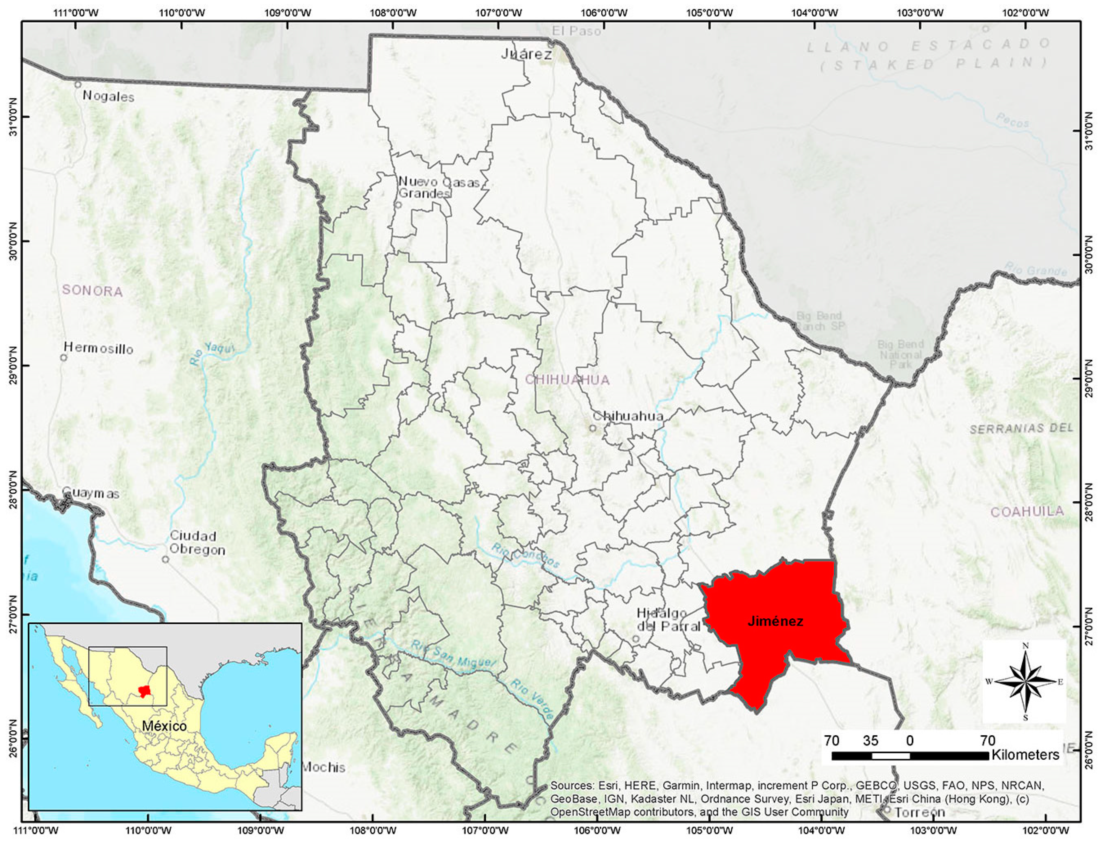 Toxins 15 00416 g001 Toxins 15 00416 g001