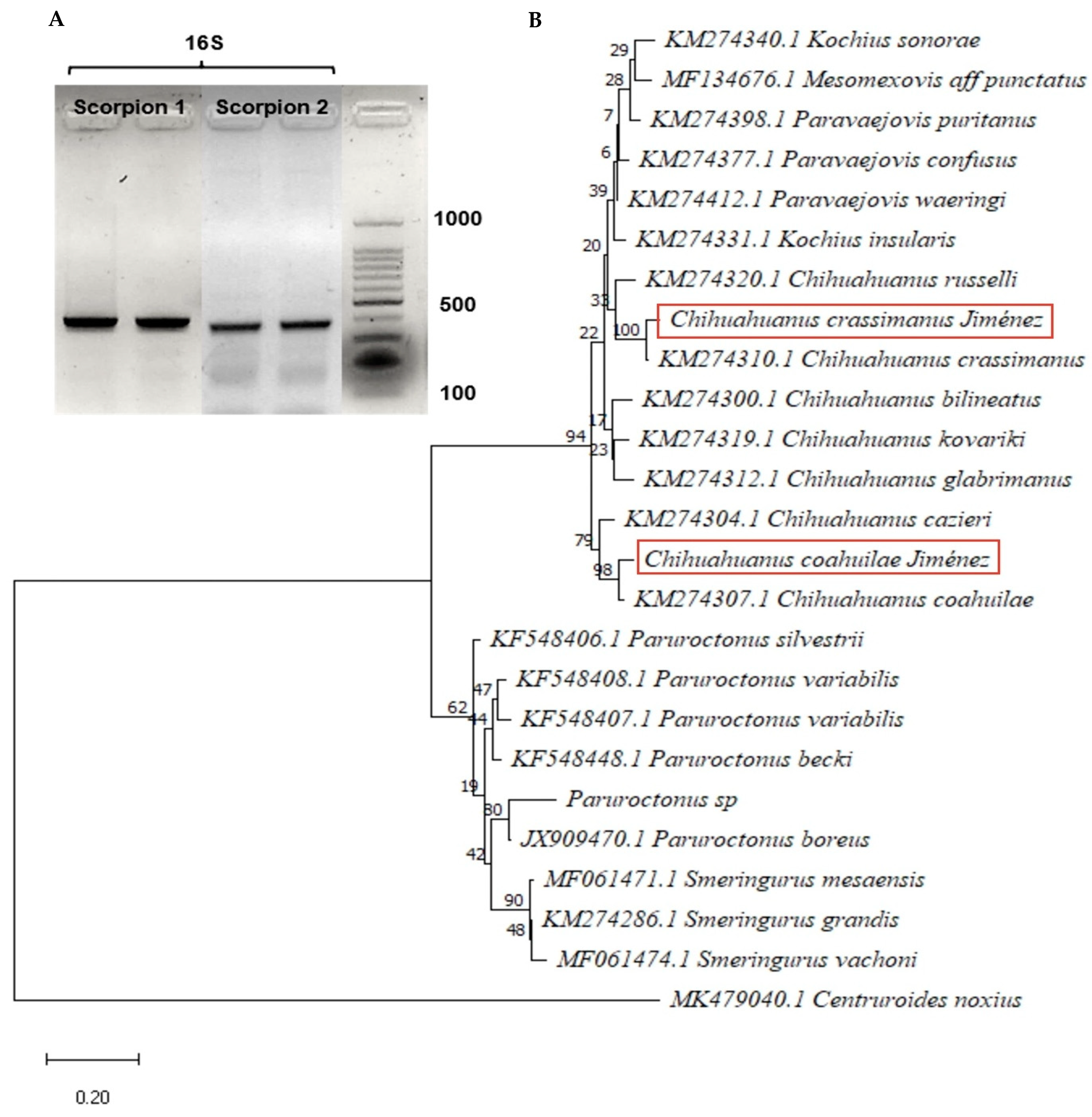Toxins 15 00416 g003 Toxins 15 00416 g003