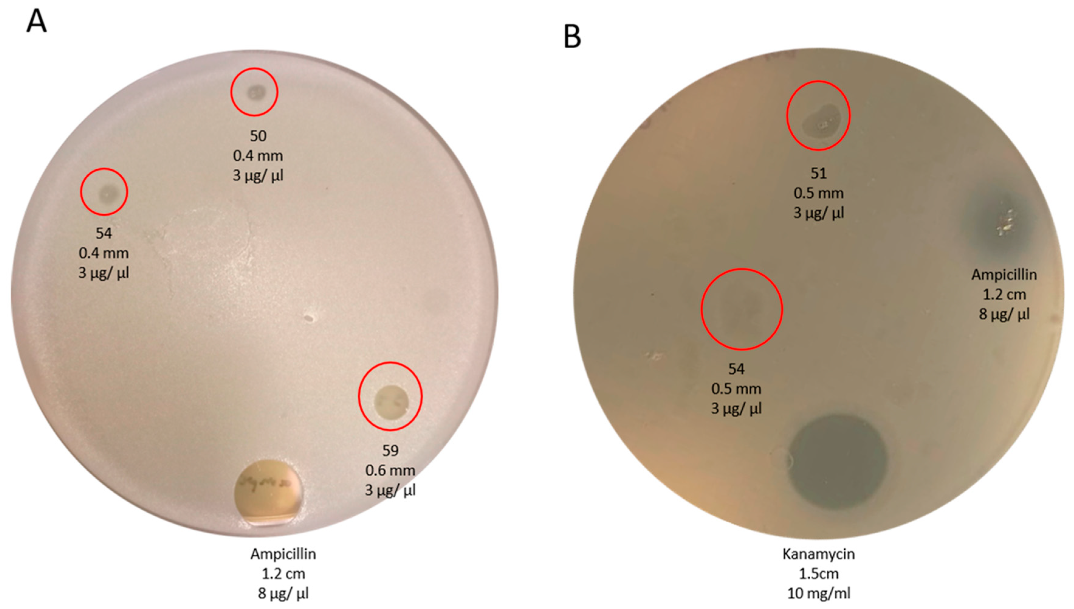 Toxins 15 00416 g006 Toxins 15 00416 g006