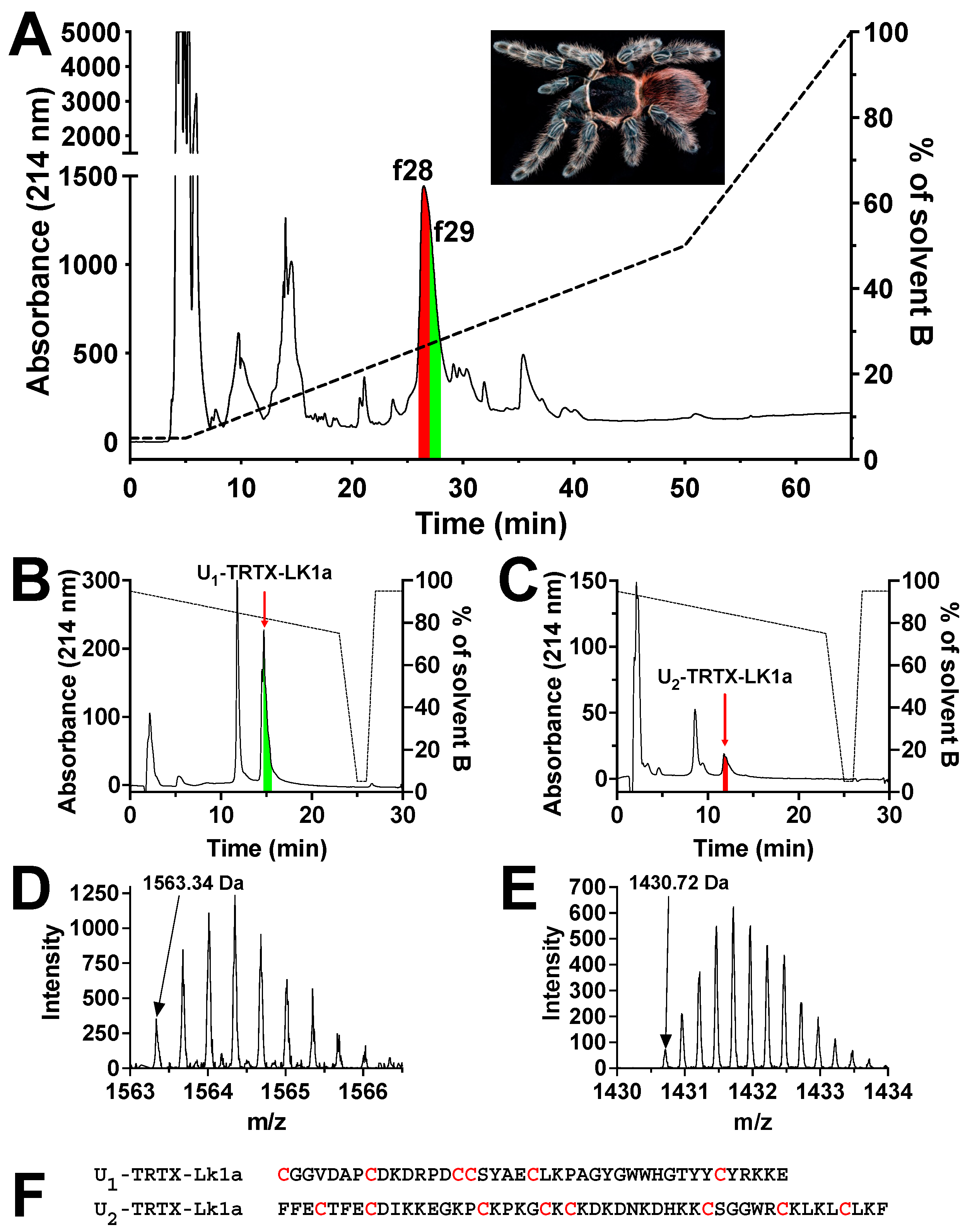 Toxins 15 00418 g001 Toxins 15 00418 g001