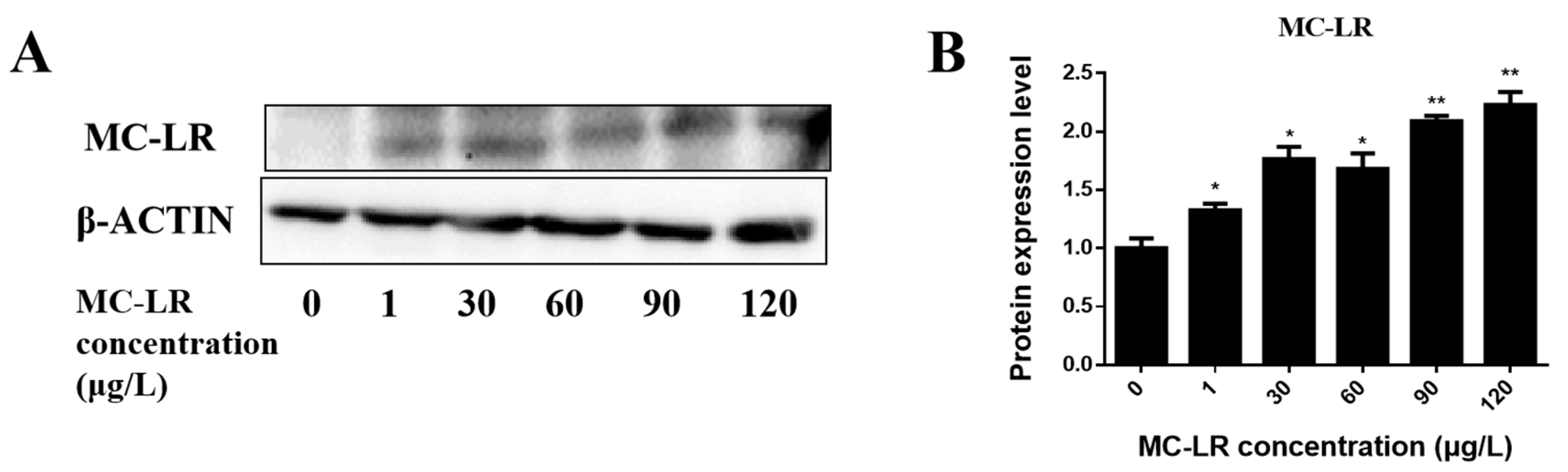 Toxins 15 00427 g001 Toxins 15 00427 g001
