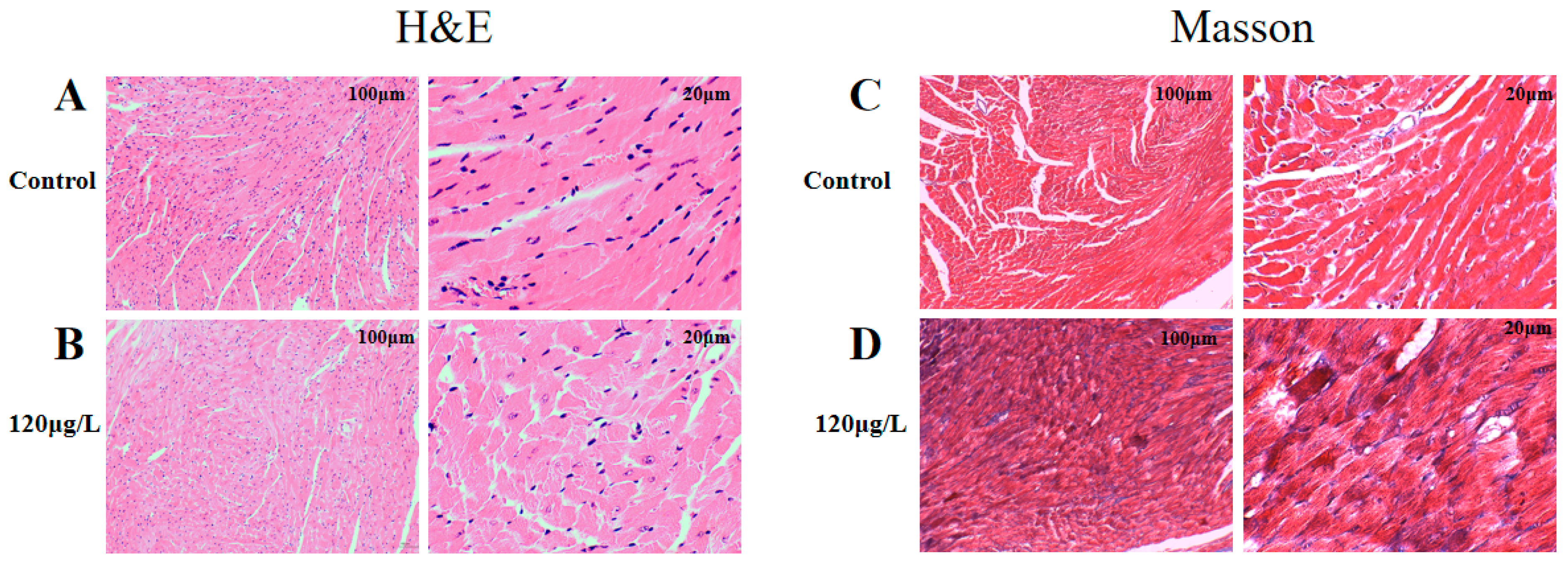 Toxins 15 00427 g003 Toxins 15 00427 g003