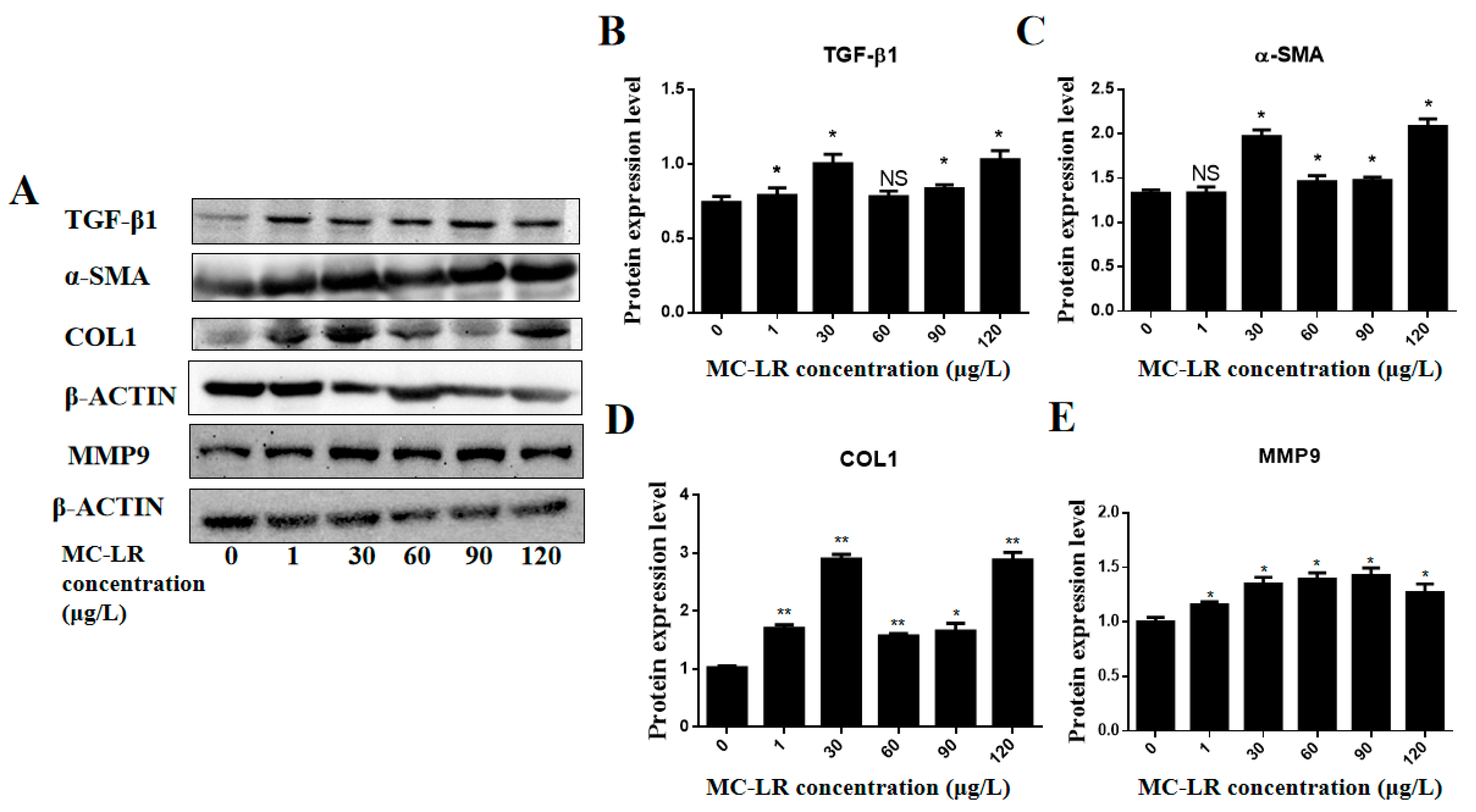 Toxins 15 00427 g005 Toxins 15 00427 g005