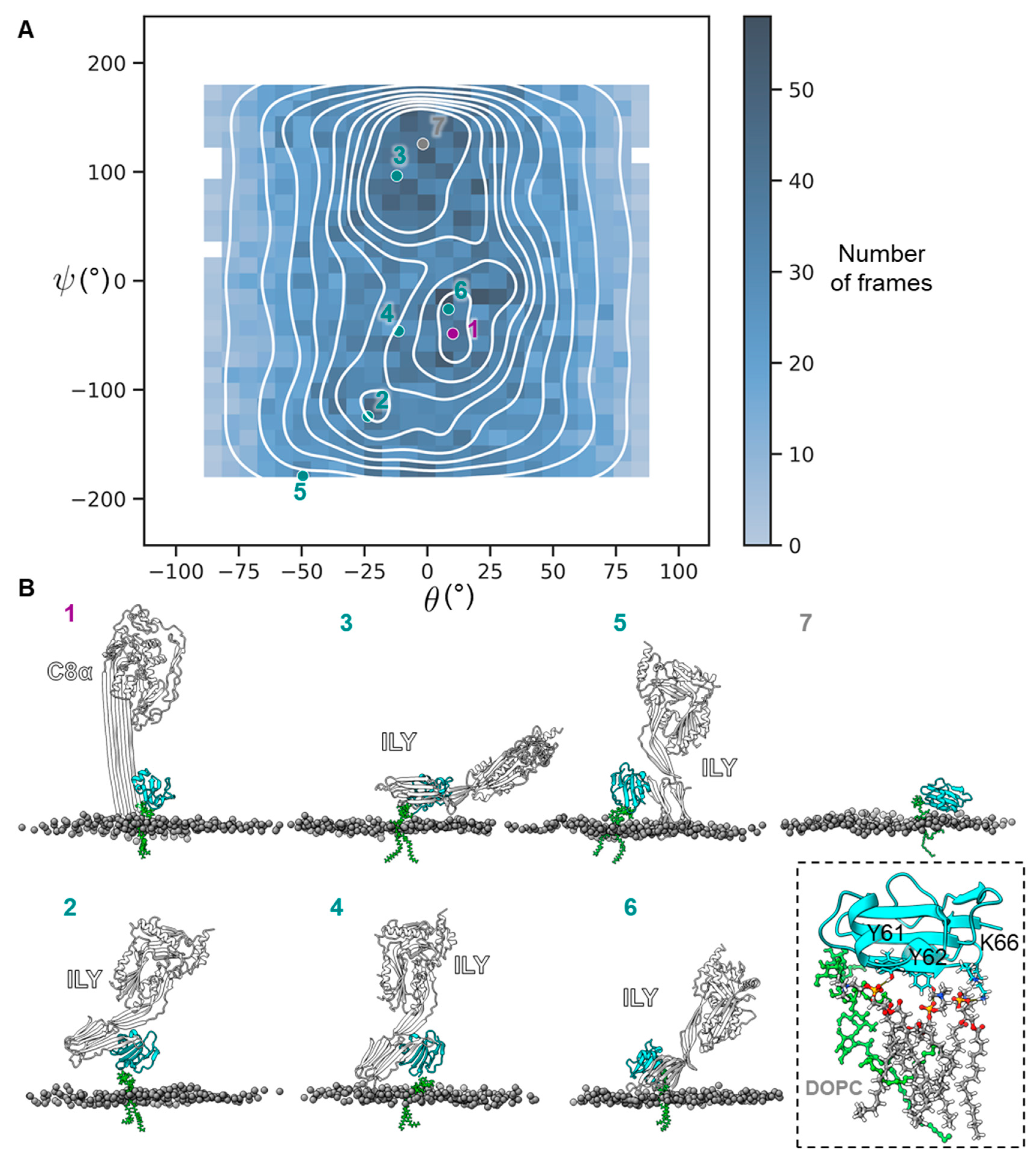 Toxins 15 00430 g004