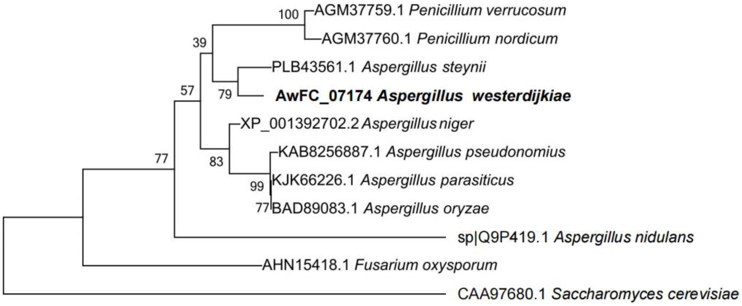Toxins 15 00432 g001 Toxins 15 00432 g001