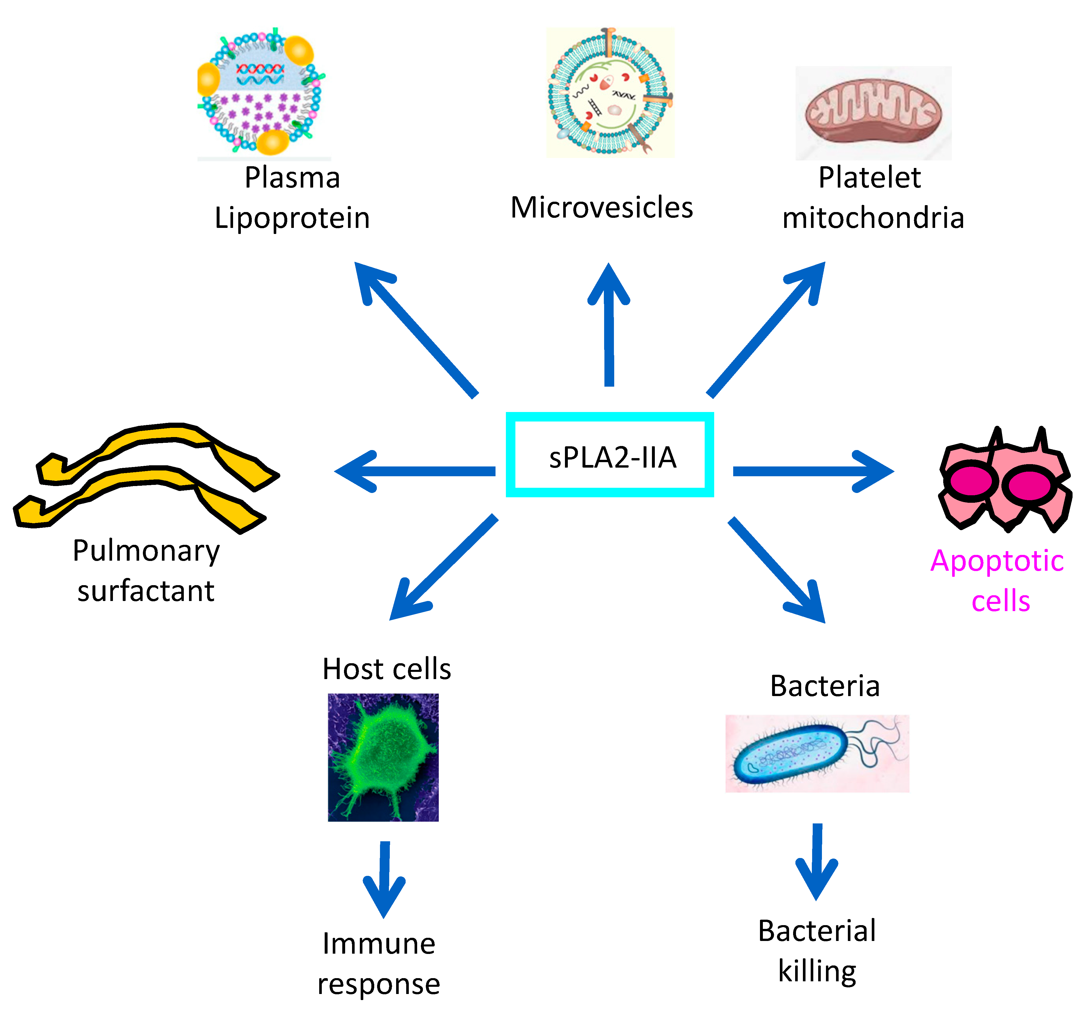Toxins 15 00440 g002
