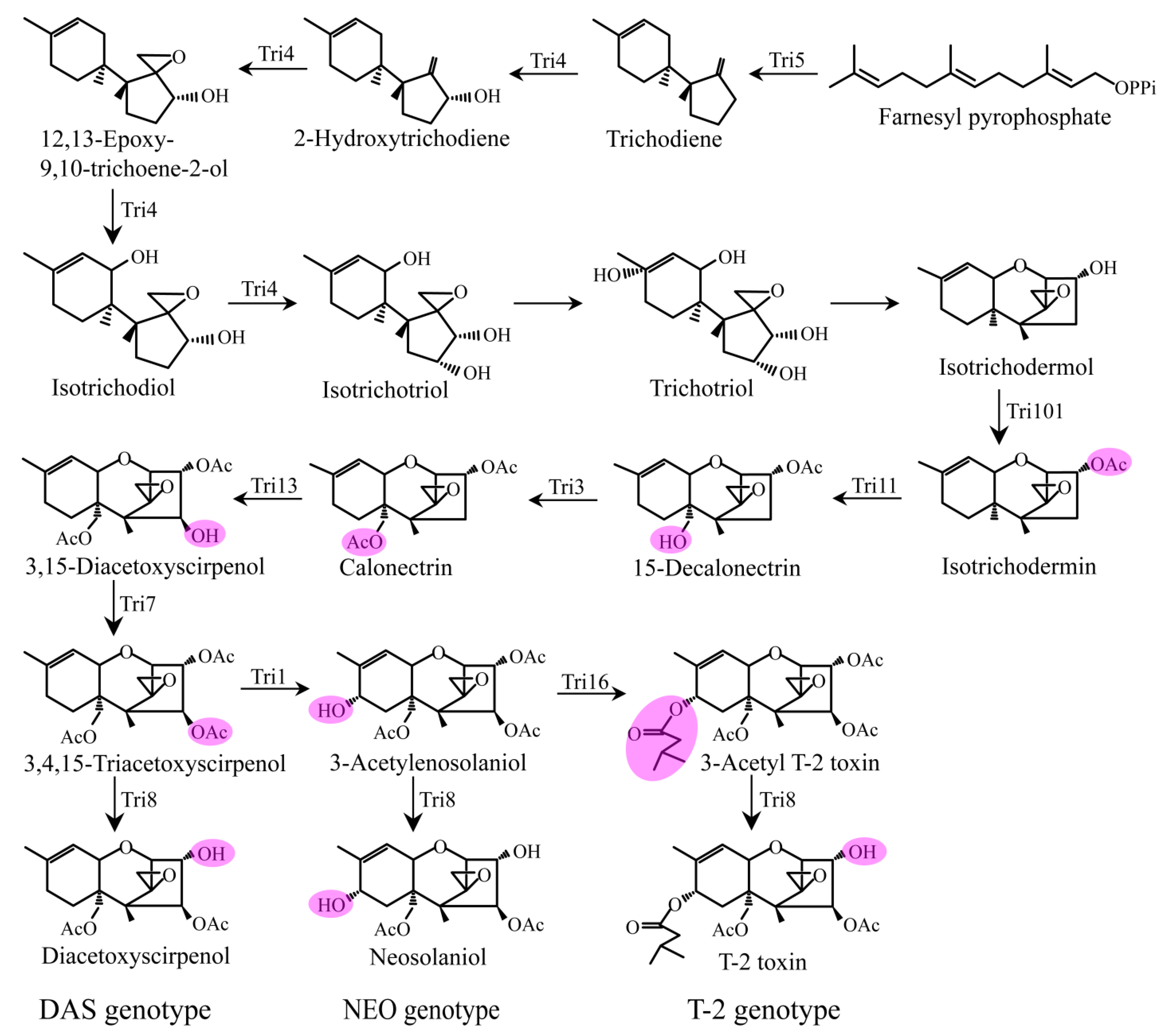 Toxins 15 00446 g003 Toxins 15 00446 g003