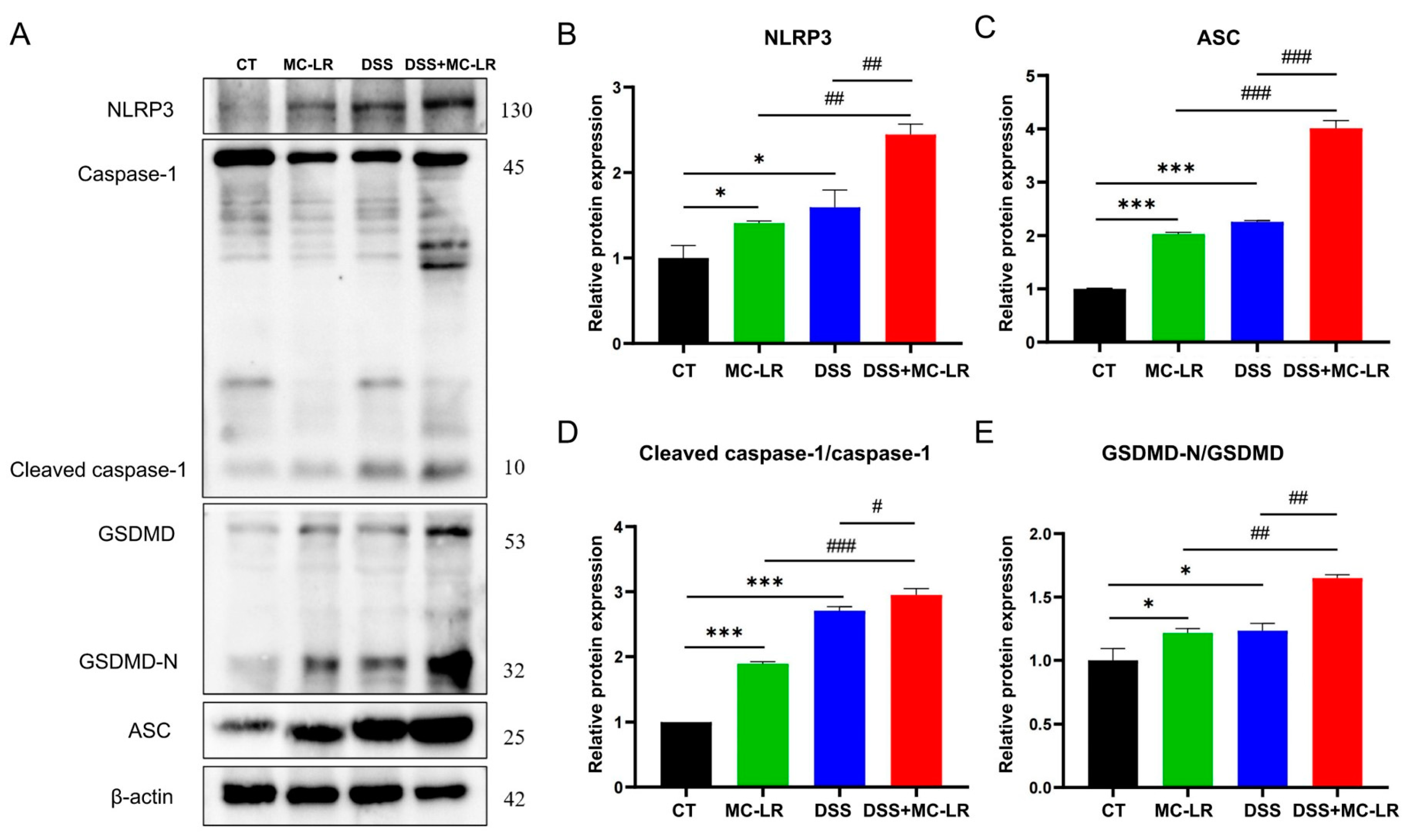 Toxins 15 00447 g006 Toxins 15 00447 g006