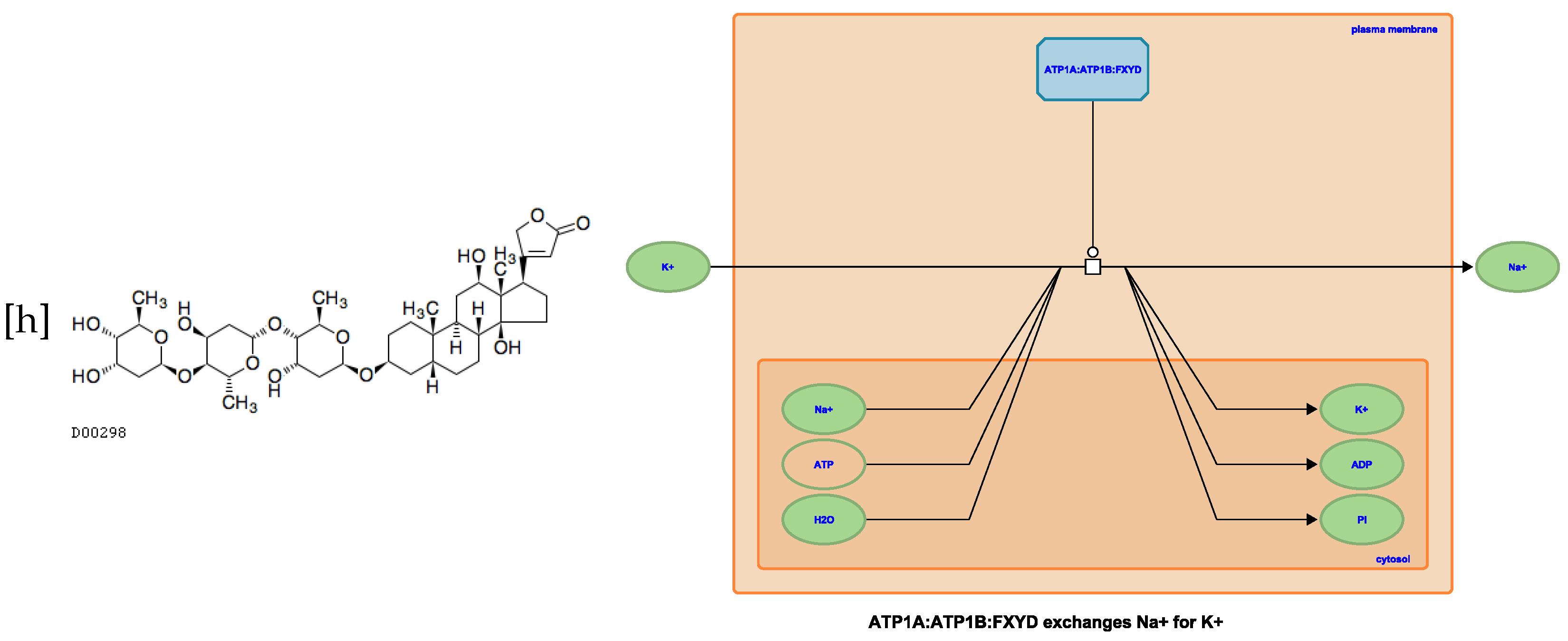Toxins 15 00451 g0a6