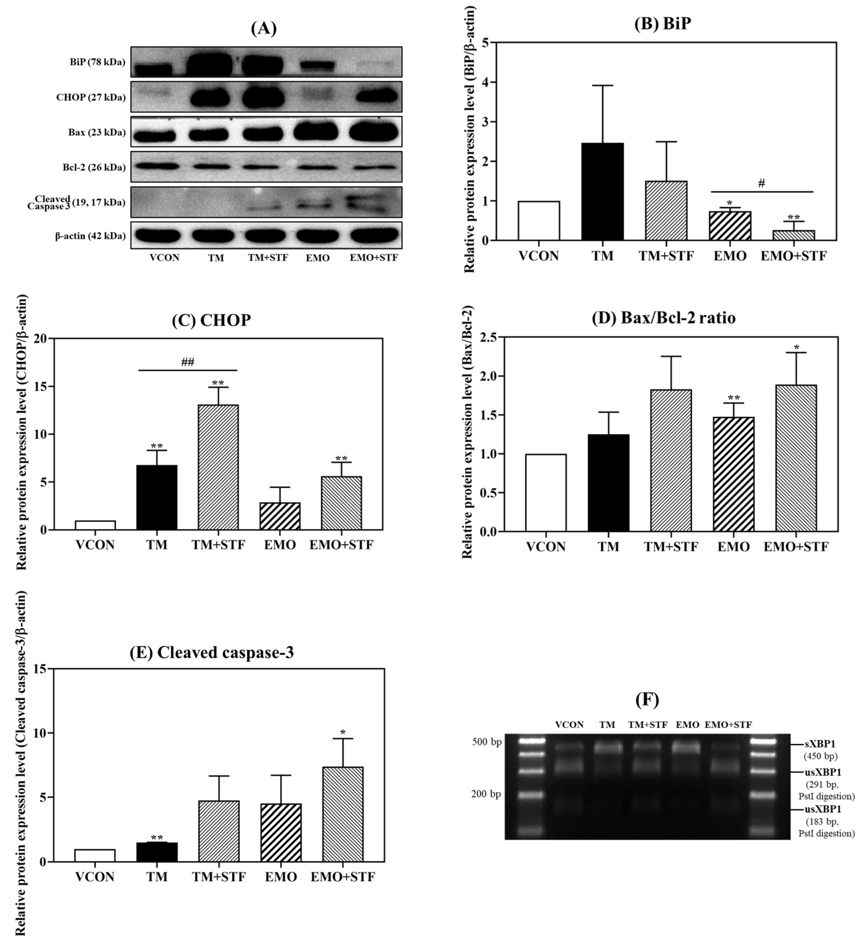 Toxins 15 00455 g007 Toxins 15 00455 g007