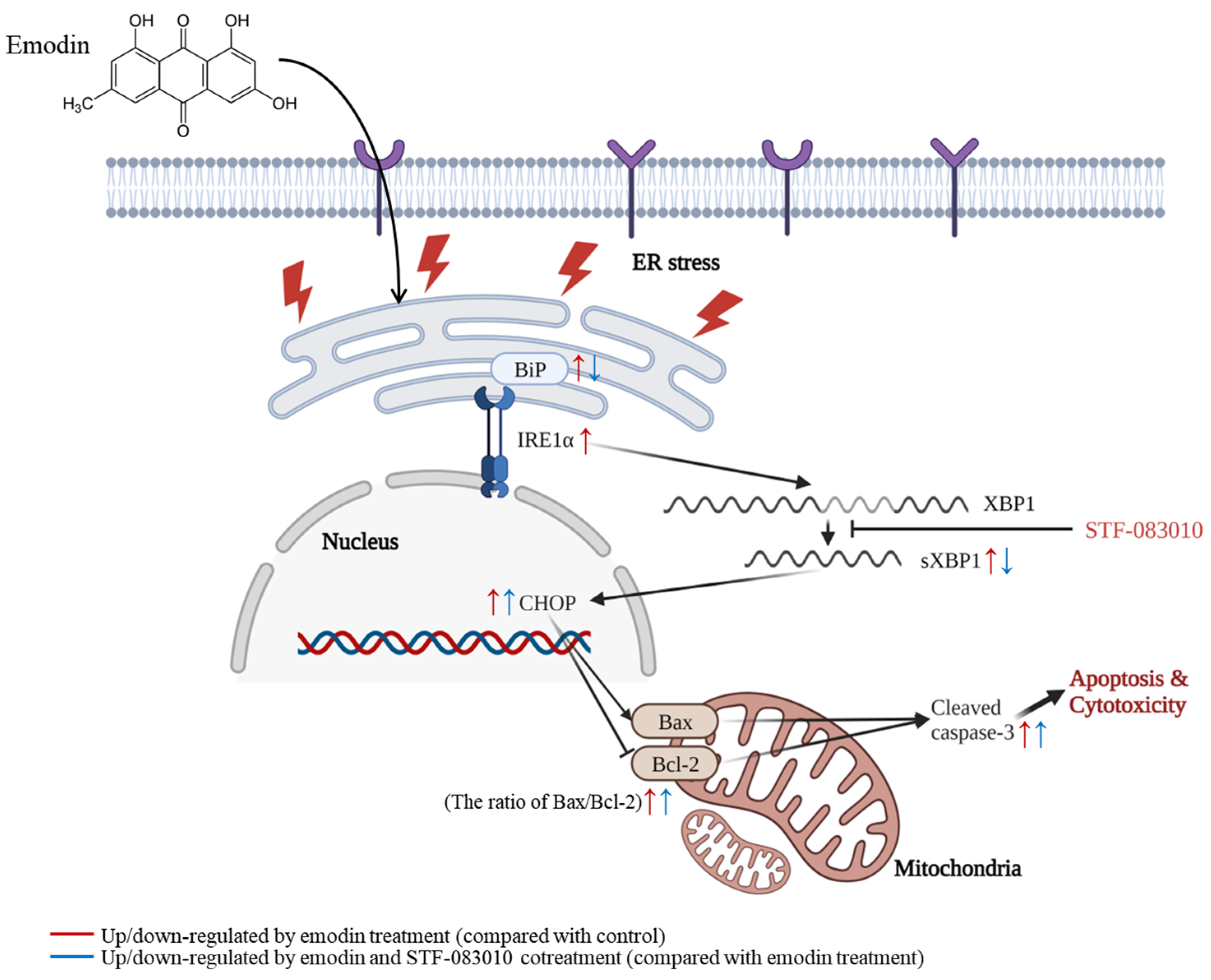 Toxins 15 00455 g008 Toxins 15 00455 g008