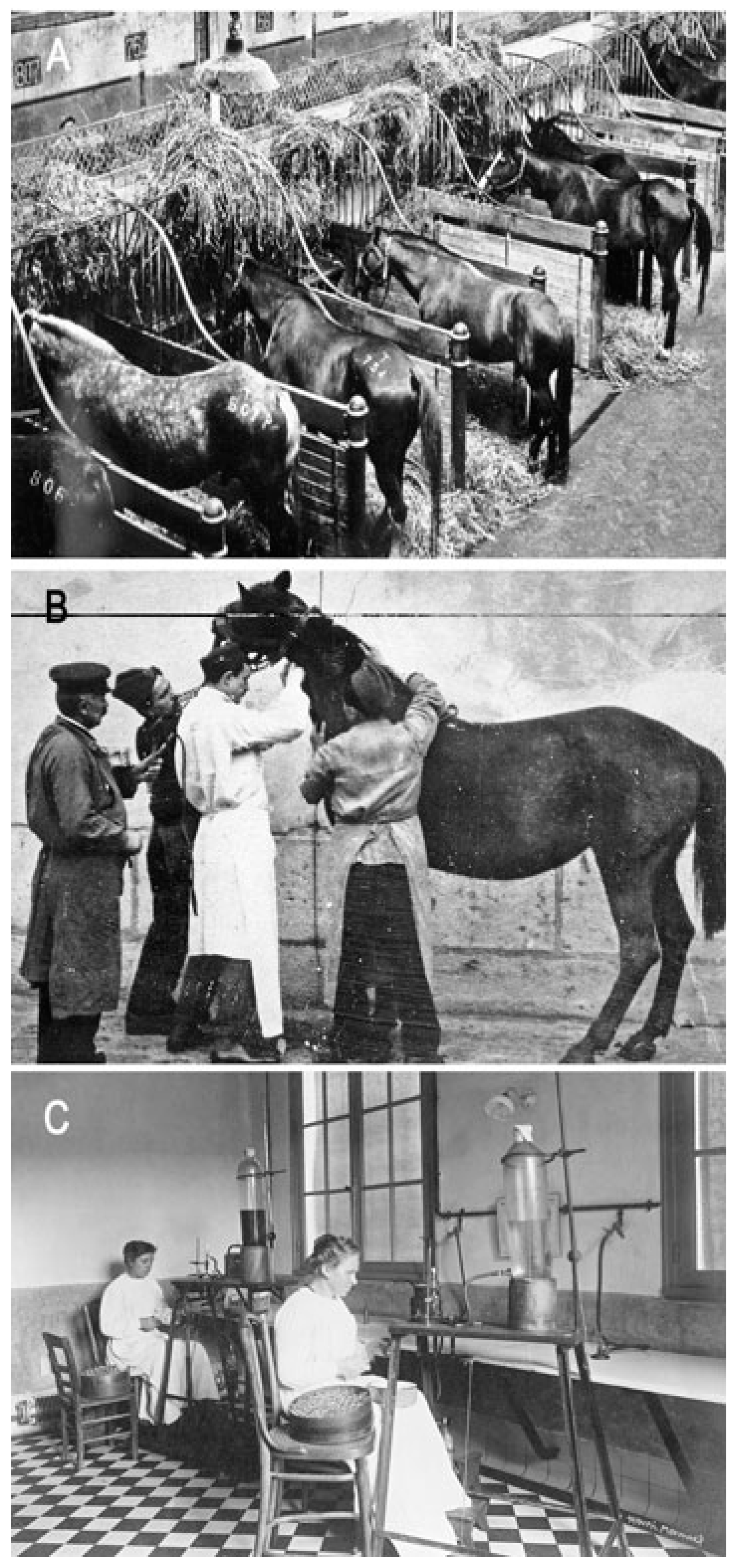 Toxins 15 00462 g004