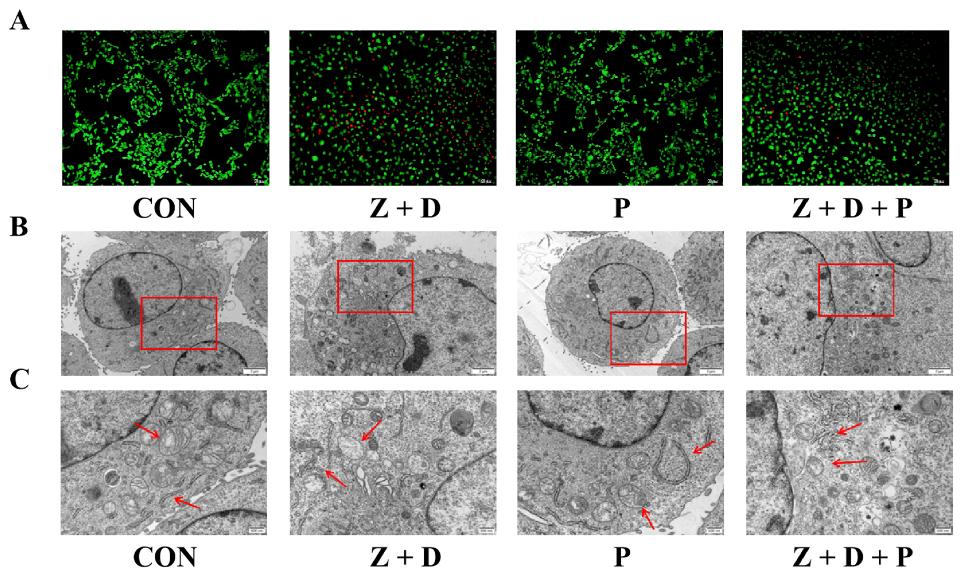 Toxins 15 00471 g002