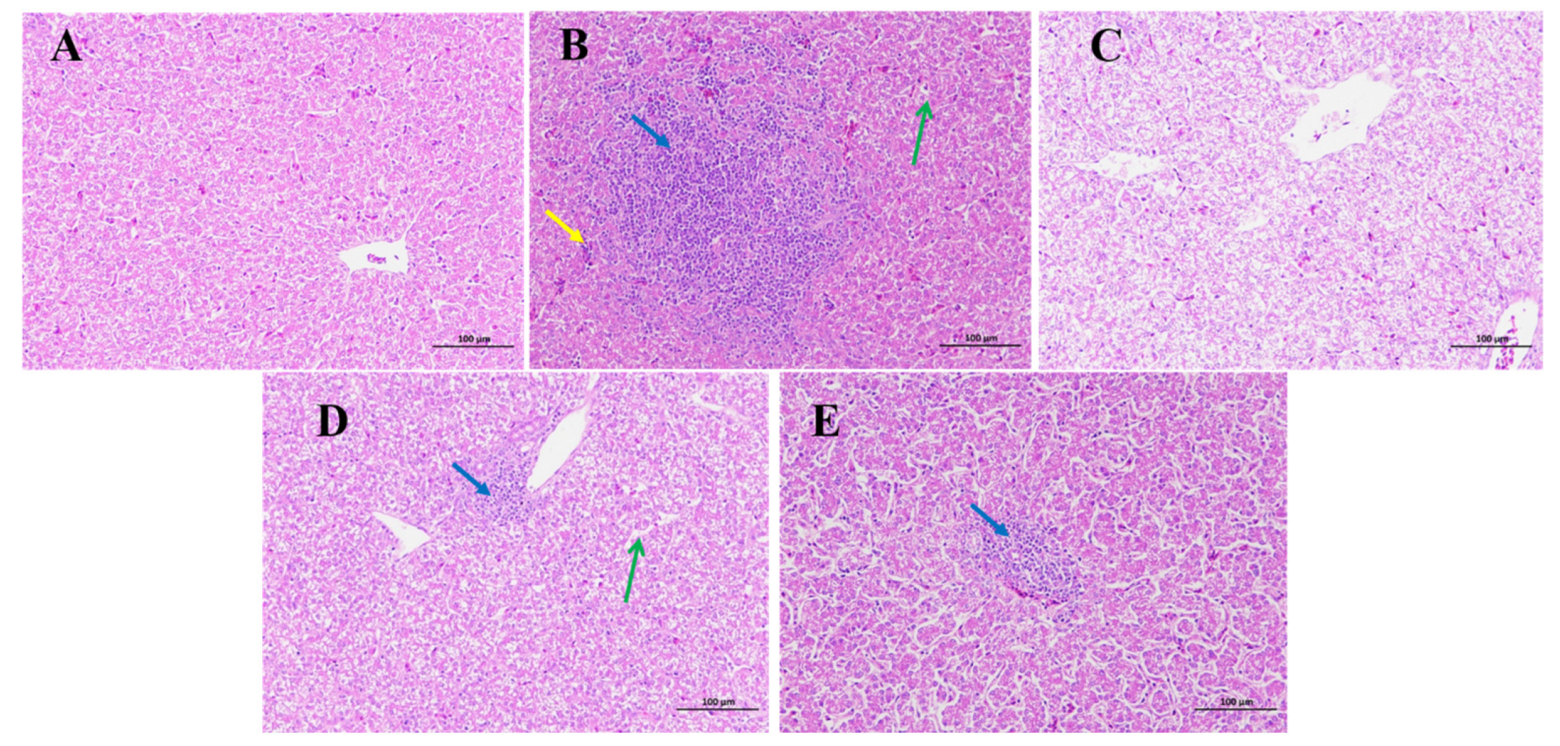 Toxins 15 00478 g002 Toxins 15 00478 g002
