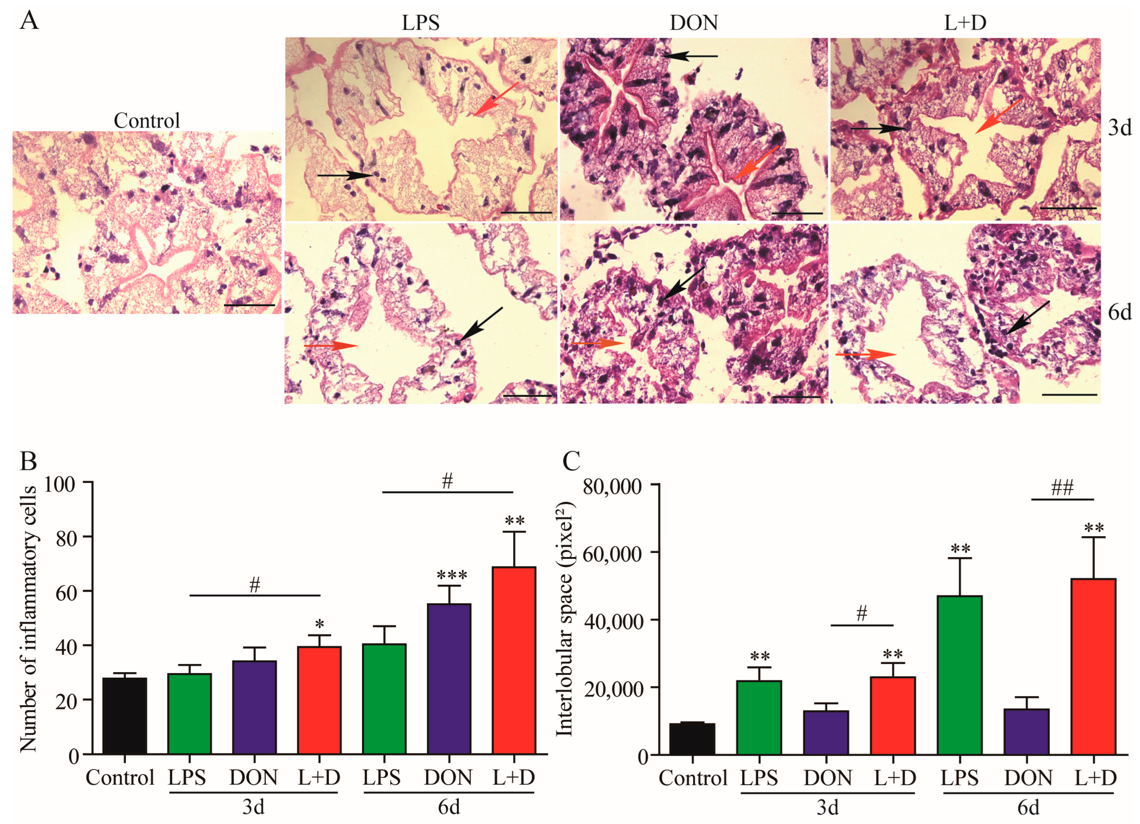 Toxins 15 00479 g005